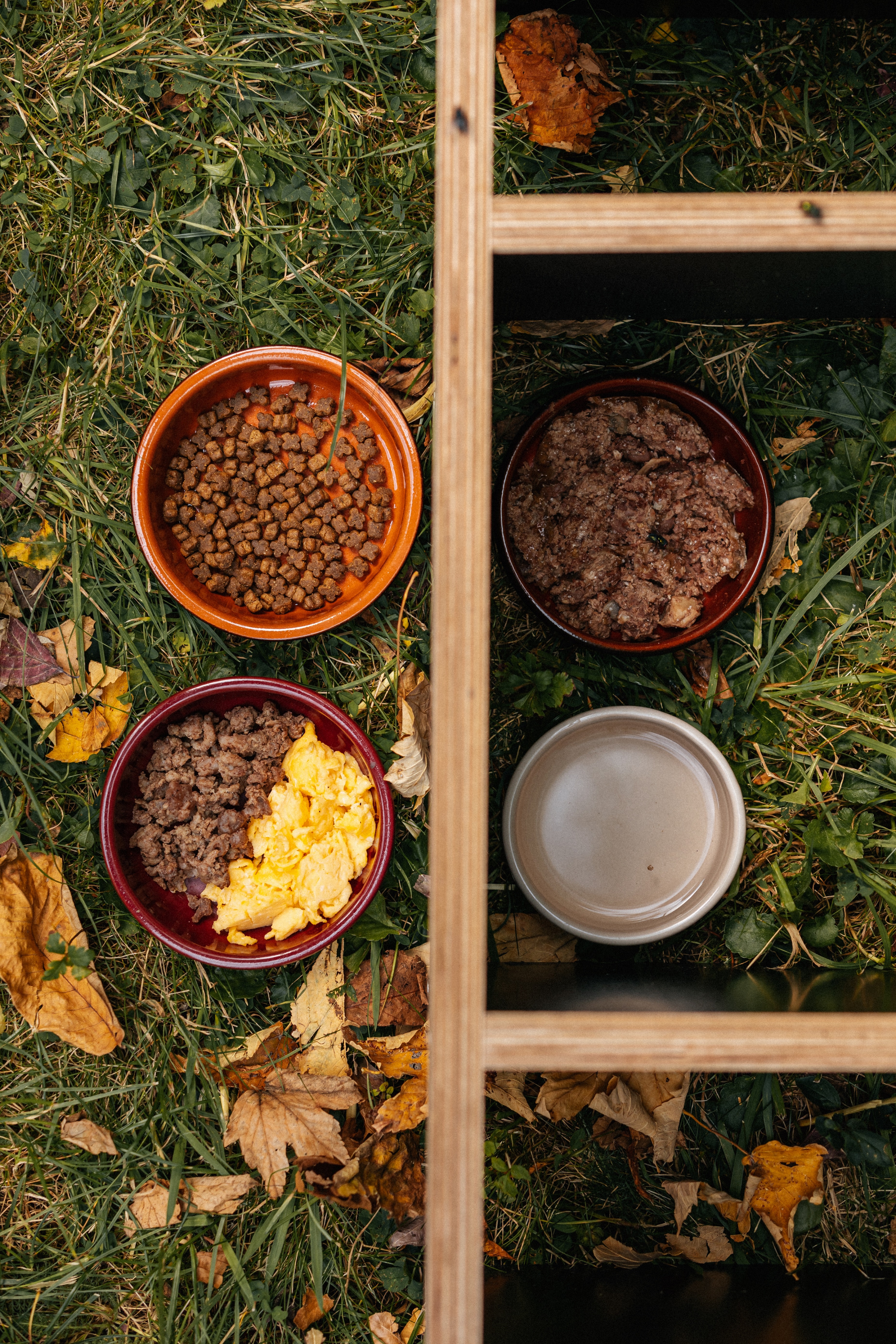 Blick von oben in Futternäpfe mit Rührei, Hackfleisch, Katzenfutter und Wasser in einem Igelhaus.