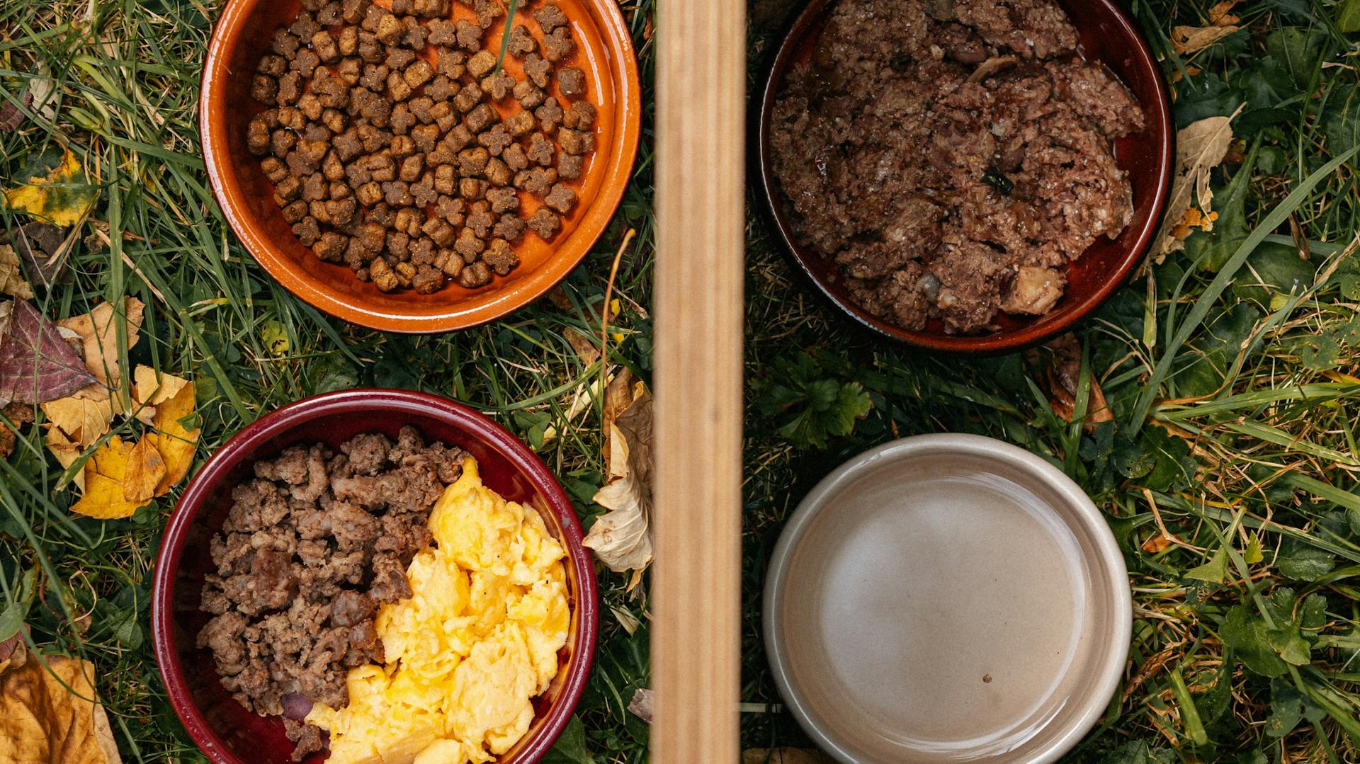 Blick von oben in Futternäpfe mit Rührei, Faschiertem, Katzenfutter und Wasser in einem Igelhaus.