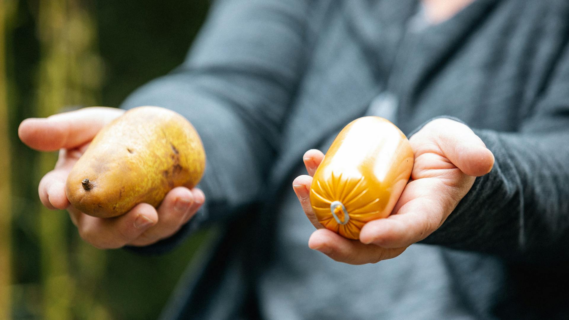 Eine Frau hält eine Birne und eine Wurst nebeneinander, um die Körperform des Igels zu verbildlichen.