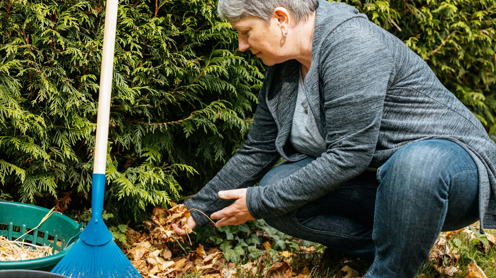 Eine frau legt gesammeltes Laub unter die Hecke.