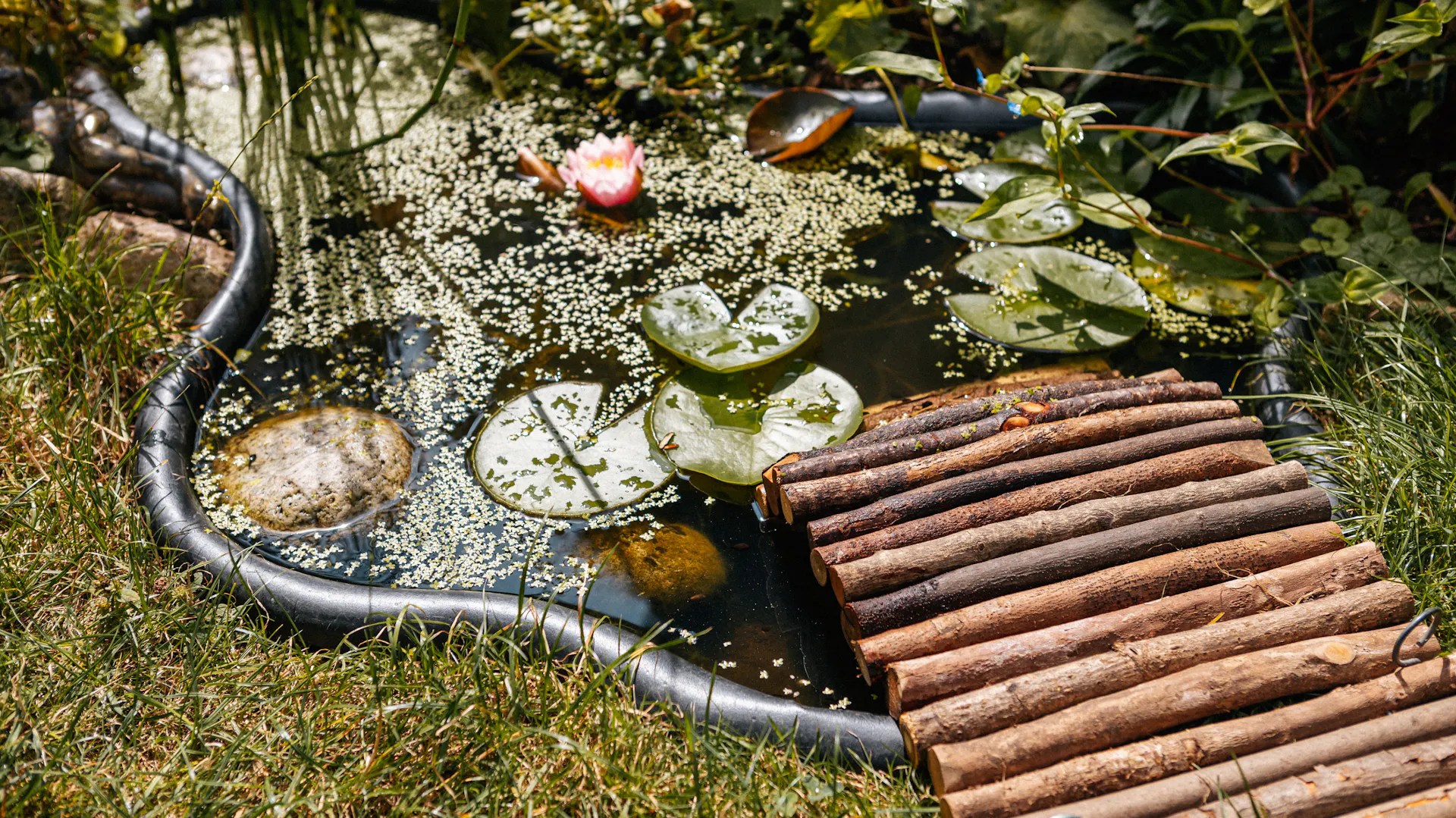 Laghetto da giardino con ponticello di legno