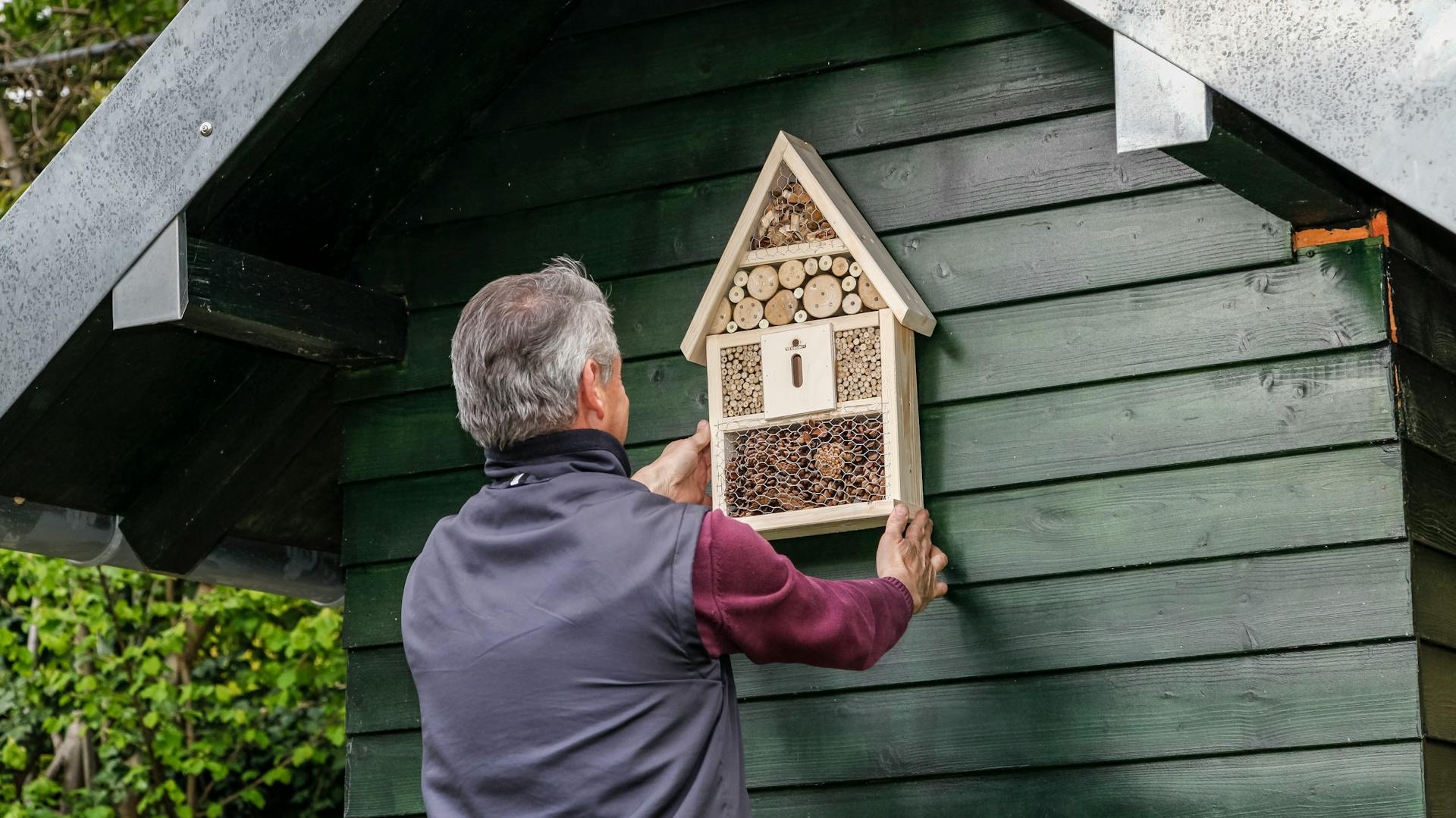 Egy férfi egy kis rovarhotelt helyez fel egy ház falára.