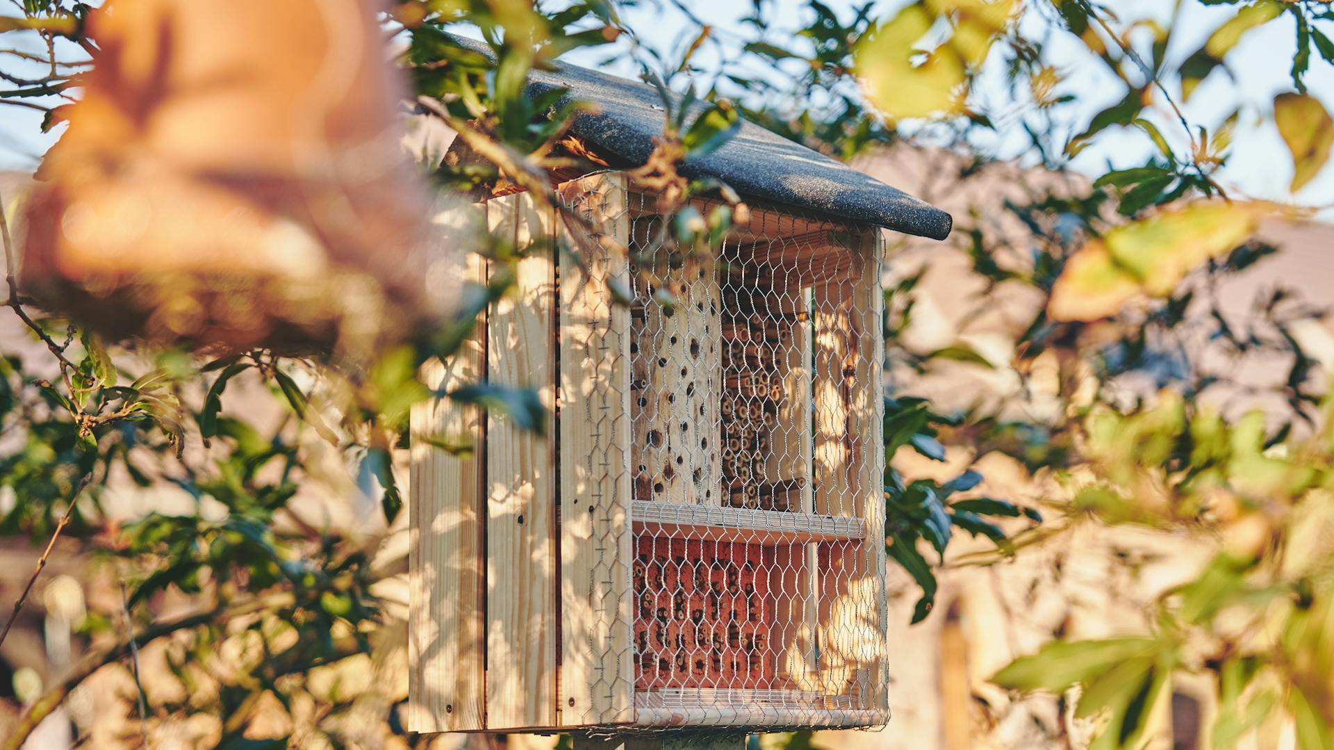 Ein Insektenhotel steht in einem naturnahem Garten