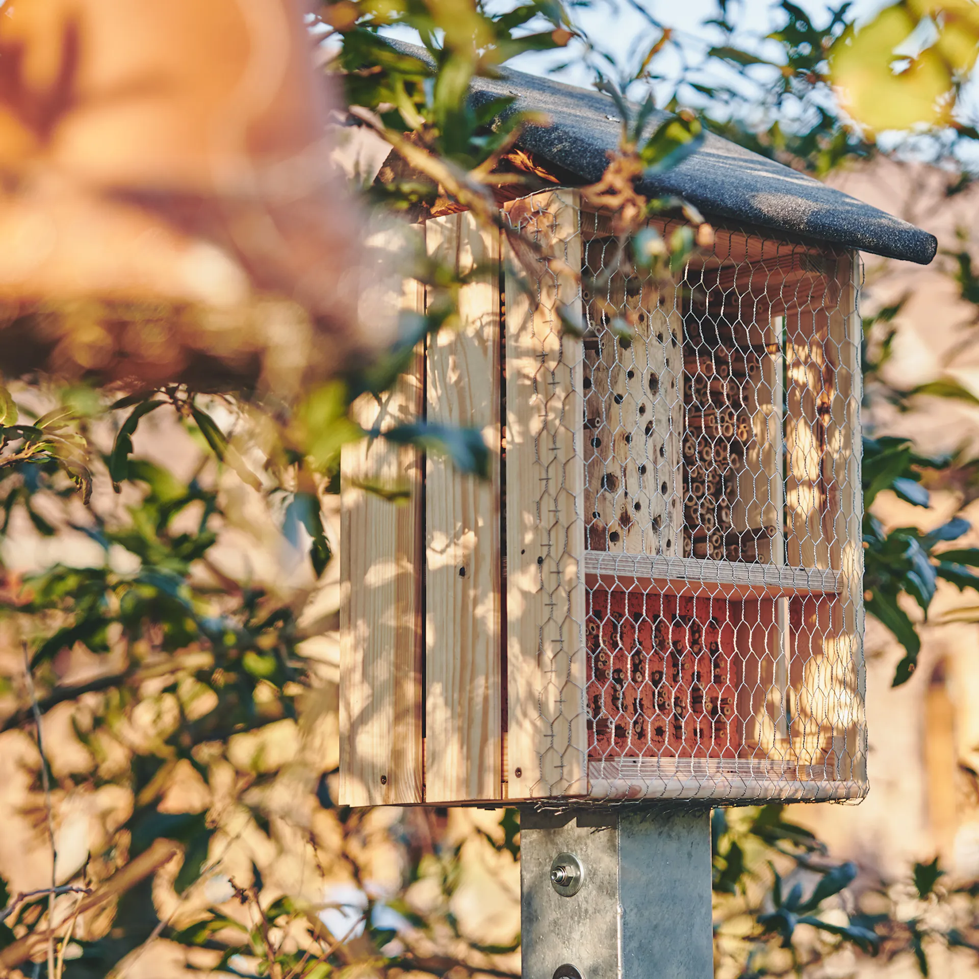 Dach wird am Insektenhotel verschraubt.