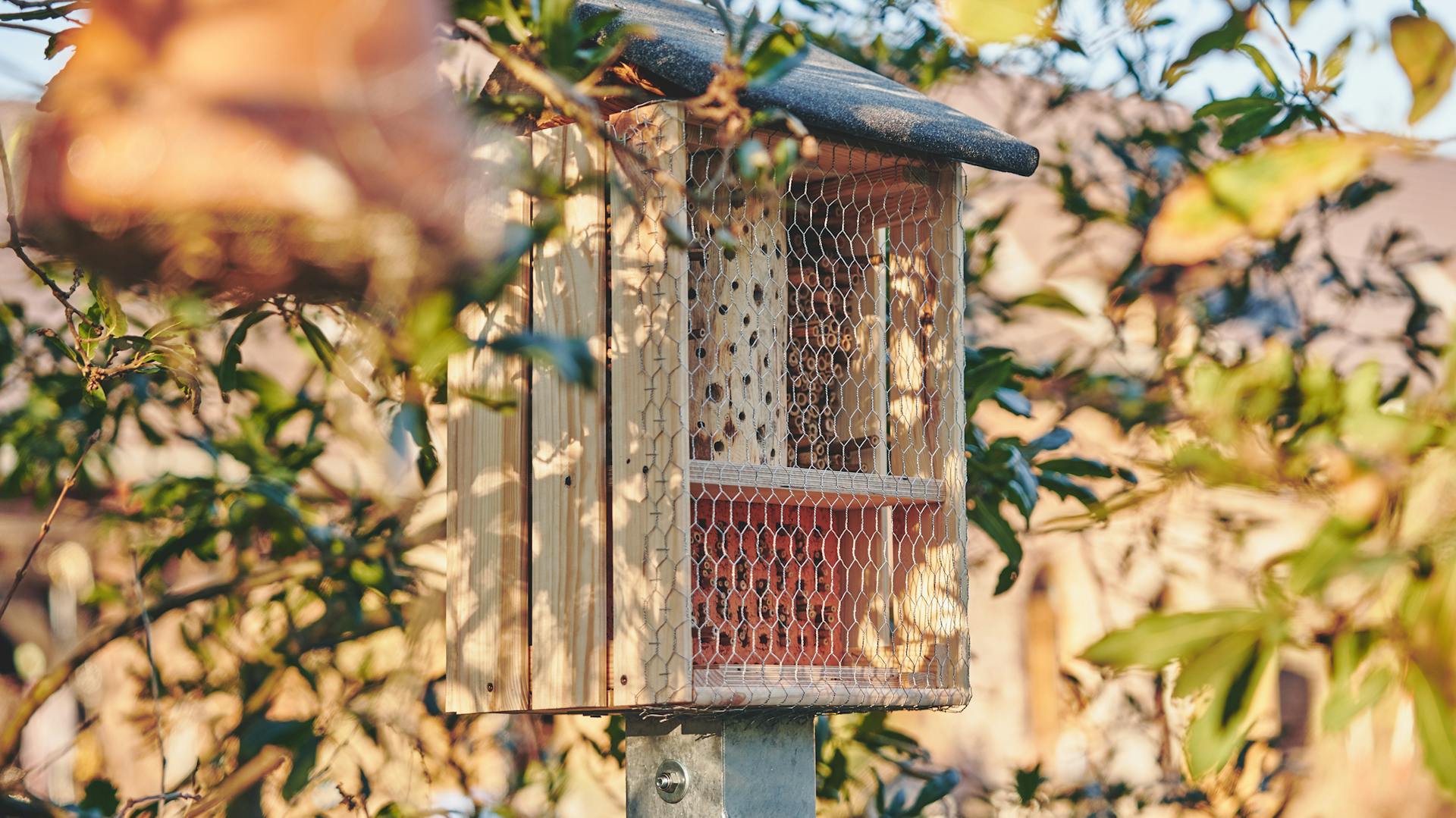 Casetta per insetti in giardino
