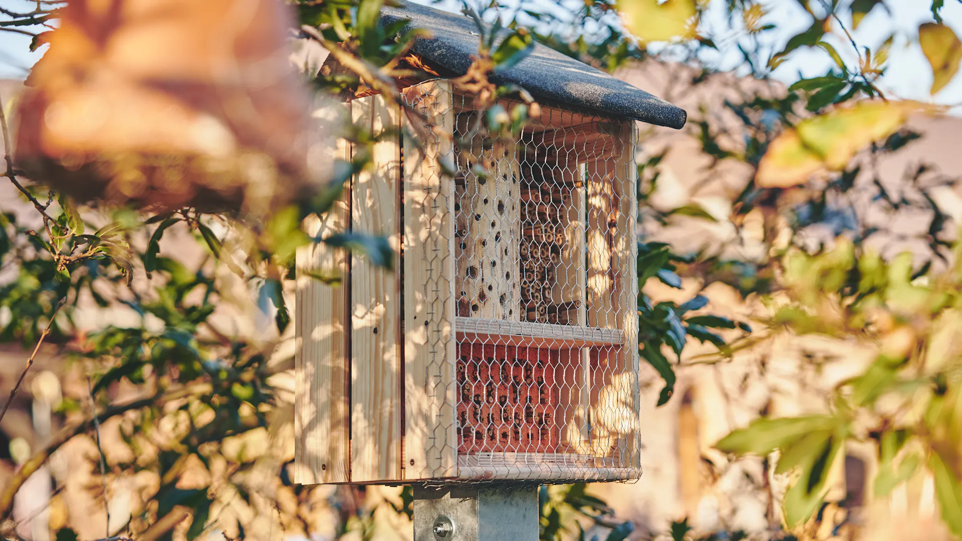 Insektenhotel in naturnahem Garten