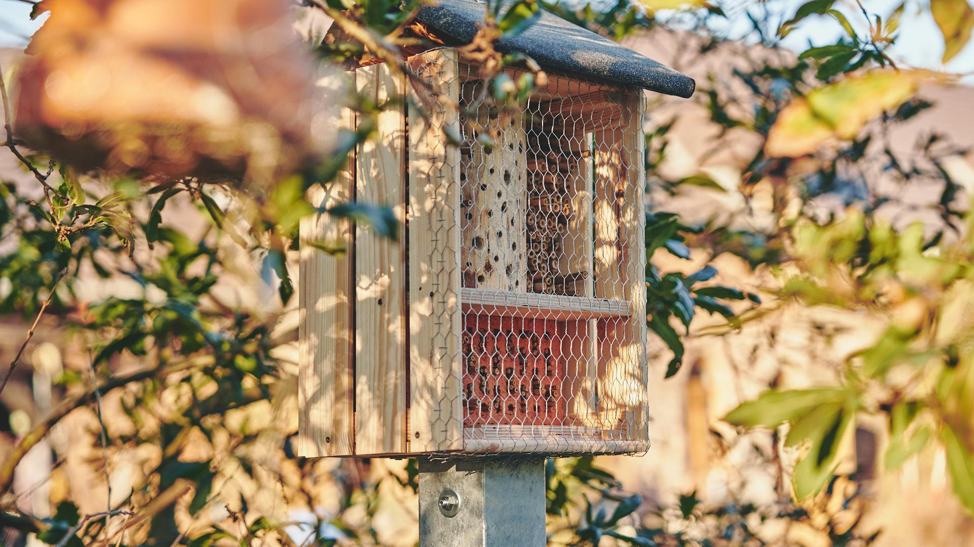 Egy rovarhotel áll egy természetközeli kertben