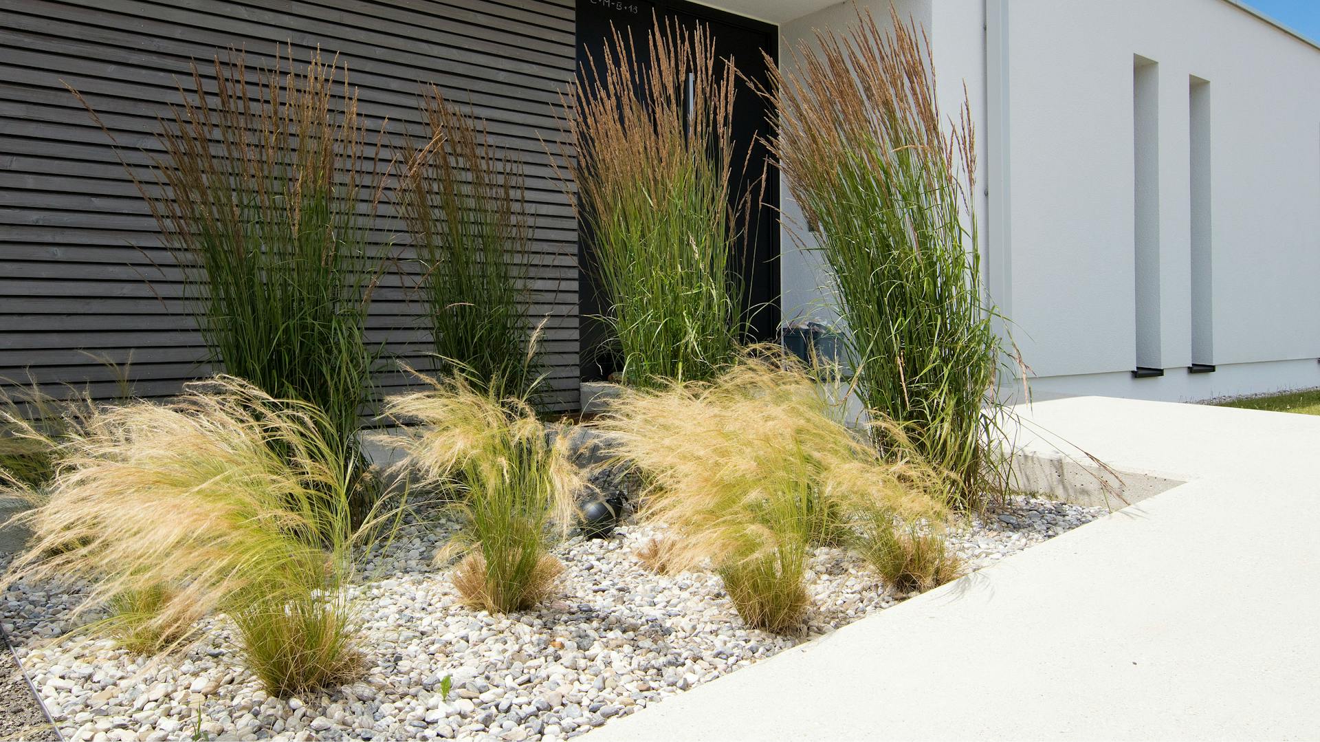 Kert kavicsból vagy zúzott kőből páfrányokkal