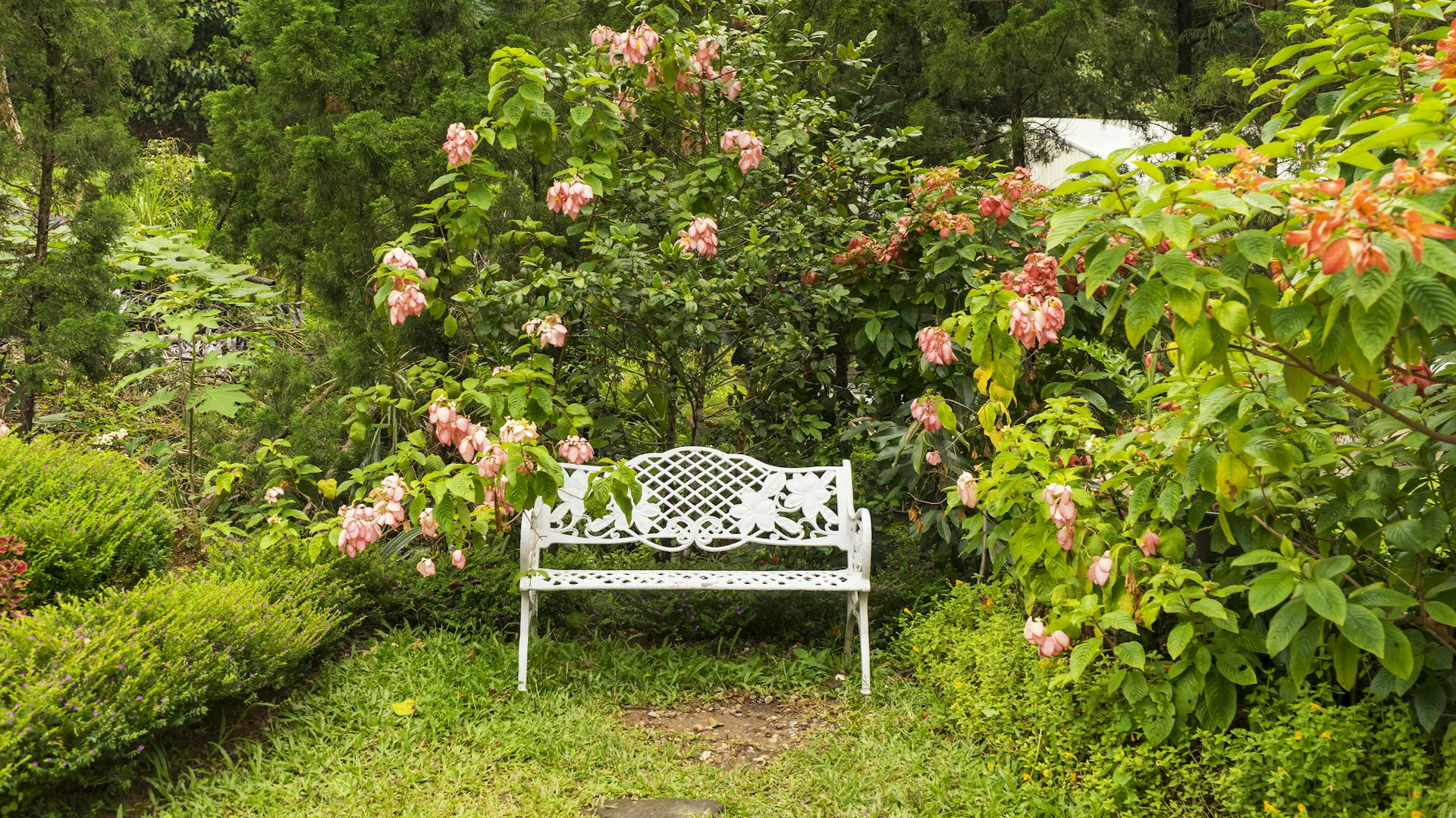 Gartenbank in einer Ecke in einem stark bewachsenen Garten.