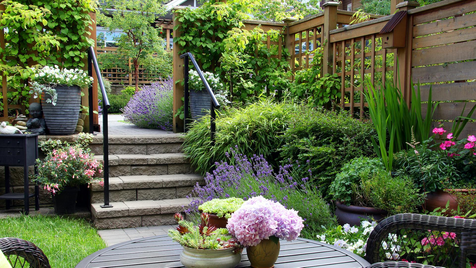 Kleiner Garten mit verschiedenen Ebenen