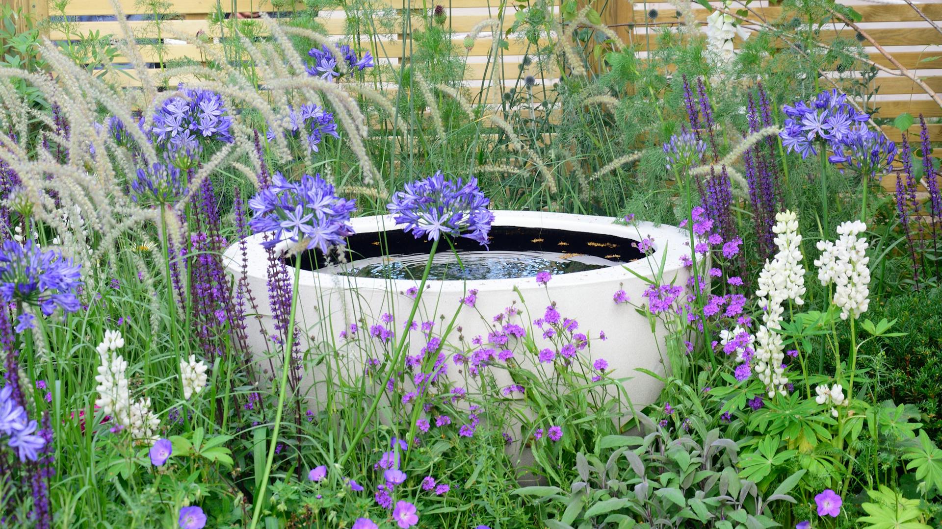 Wasserstelle im kleinen Garten