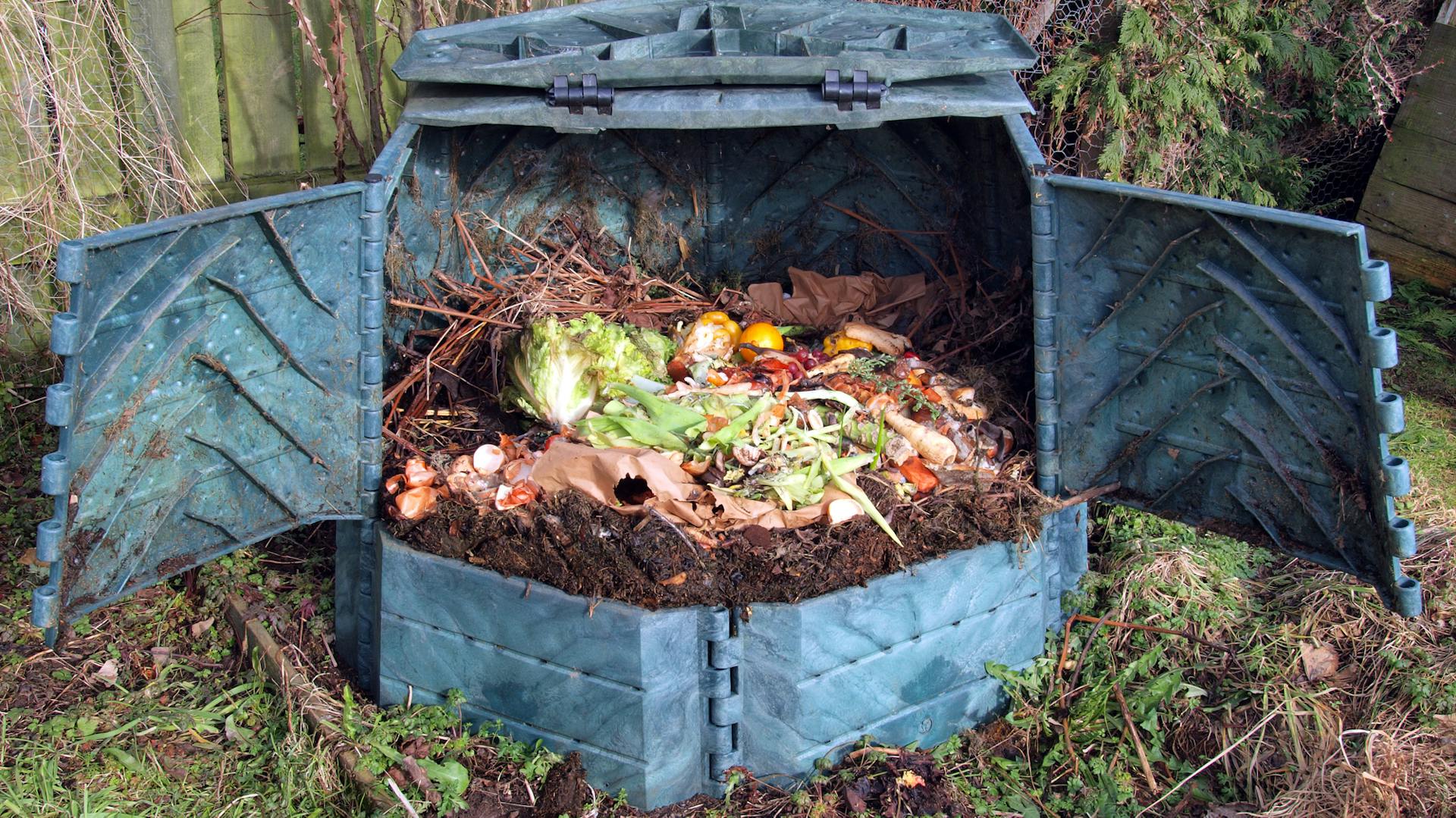 Geöffneter Komposter mit Kompost.