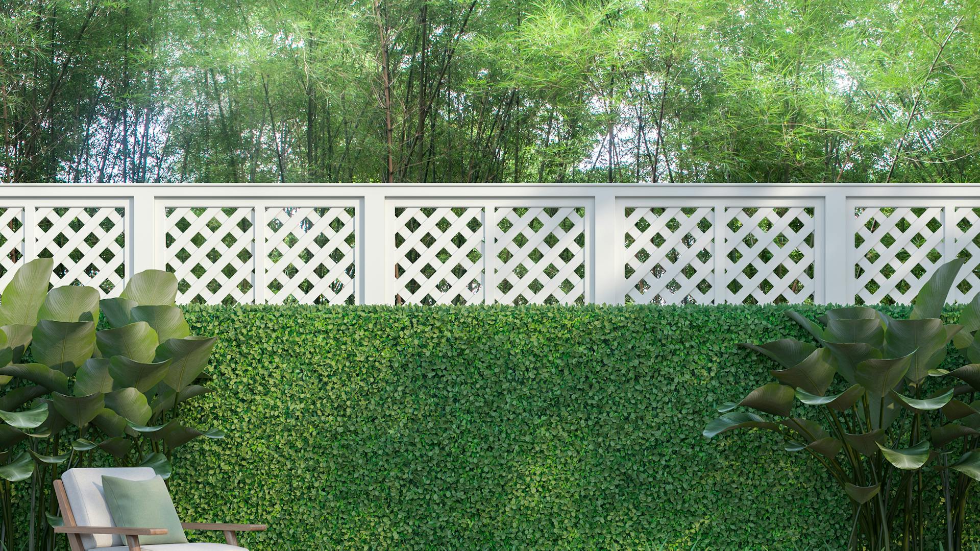 Hecke als Lärmschutz im Garten