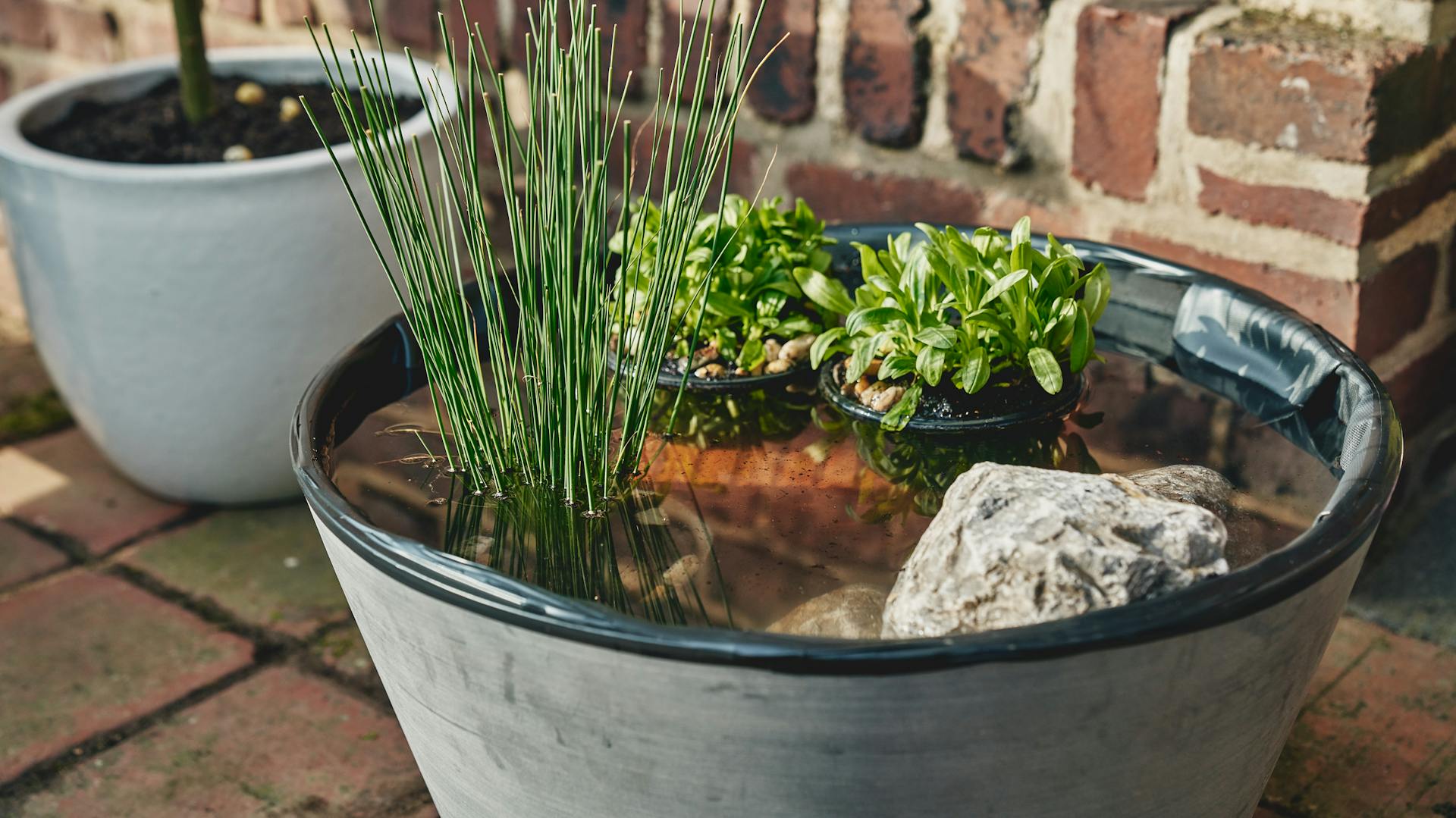 Befüllter Miniteich steht auf Terrasse