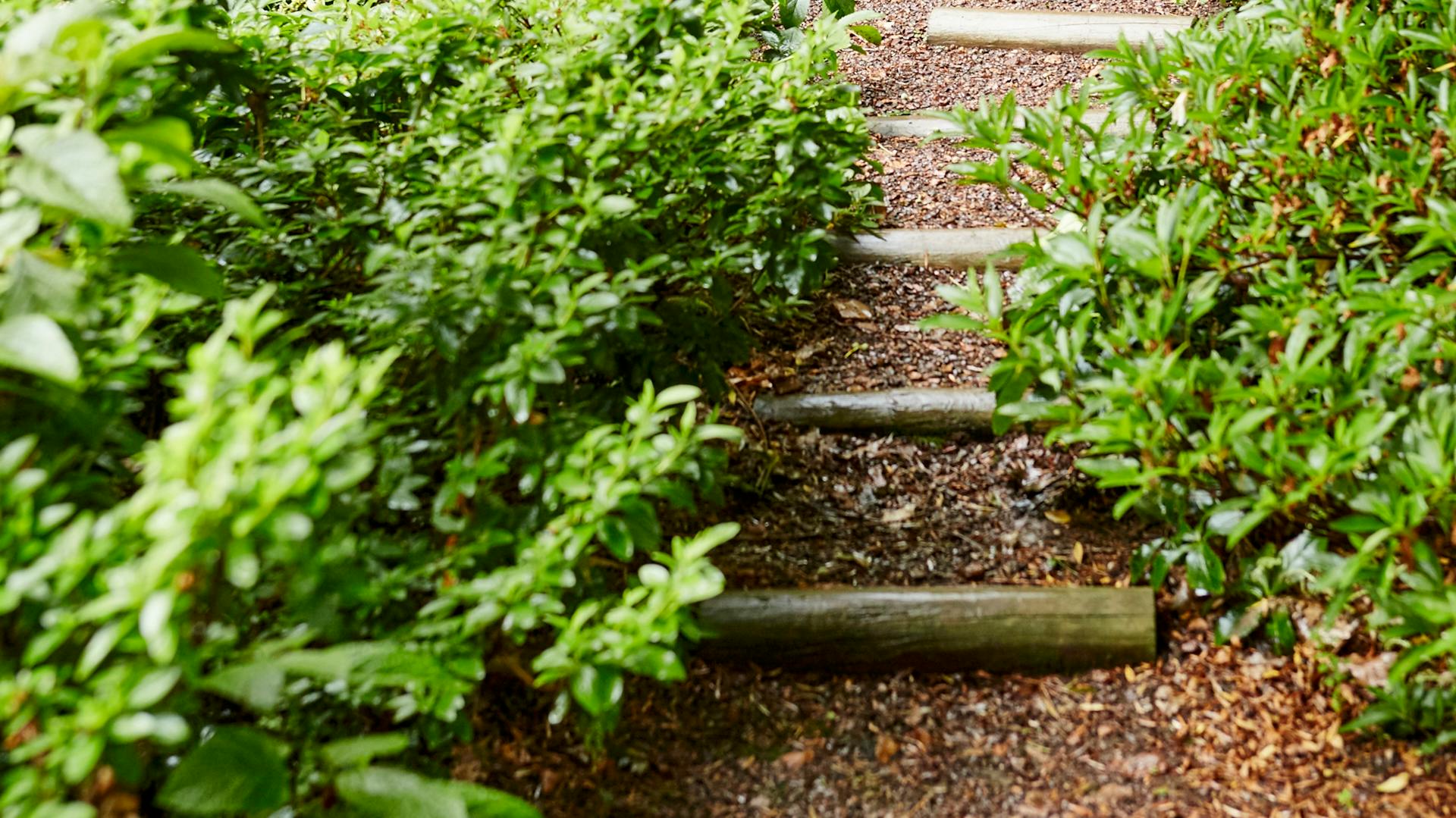 Un vialetto con pacciame di corteccia e traverse di legno.