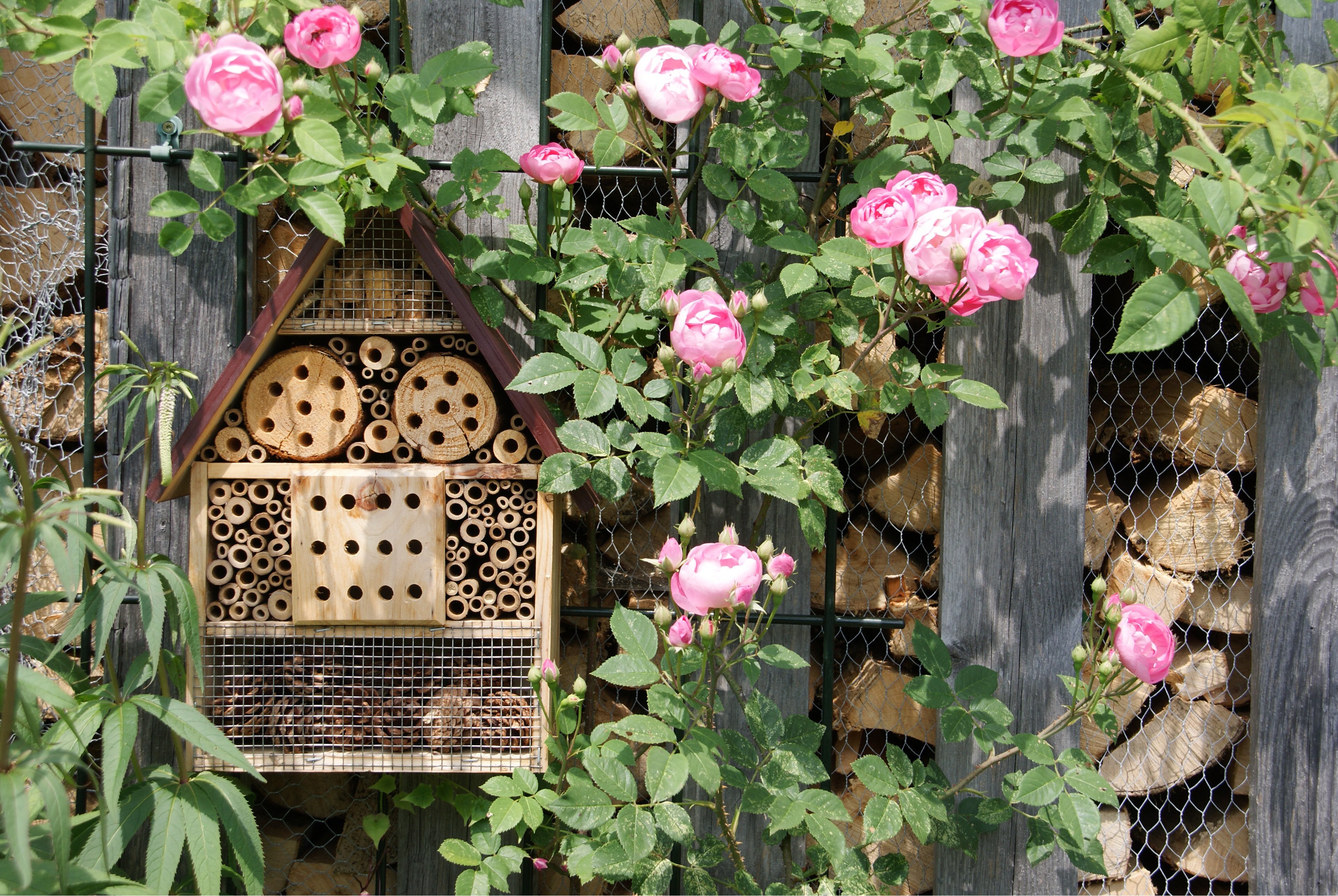 Insektenhotels in einem Naturgarten.