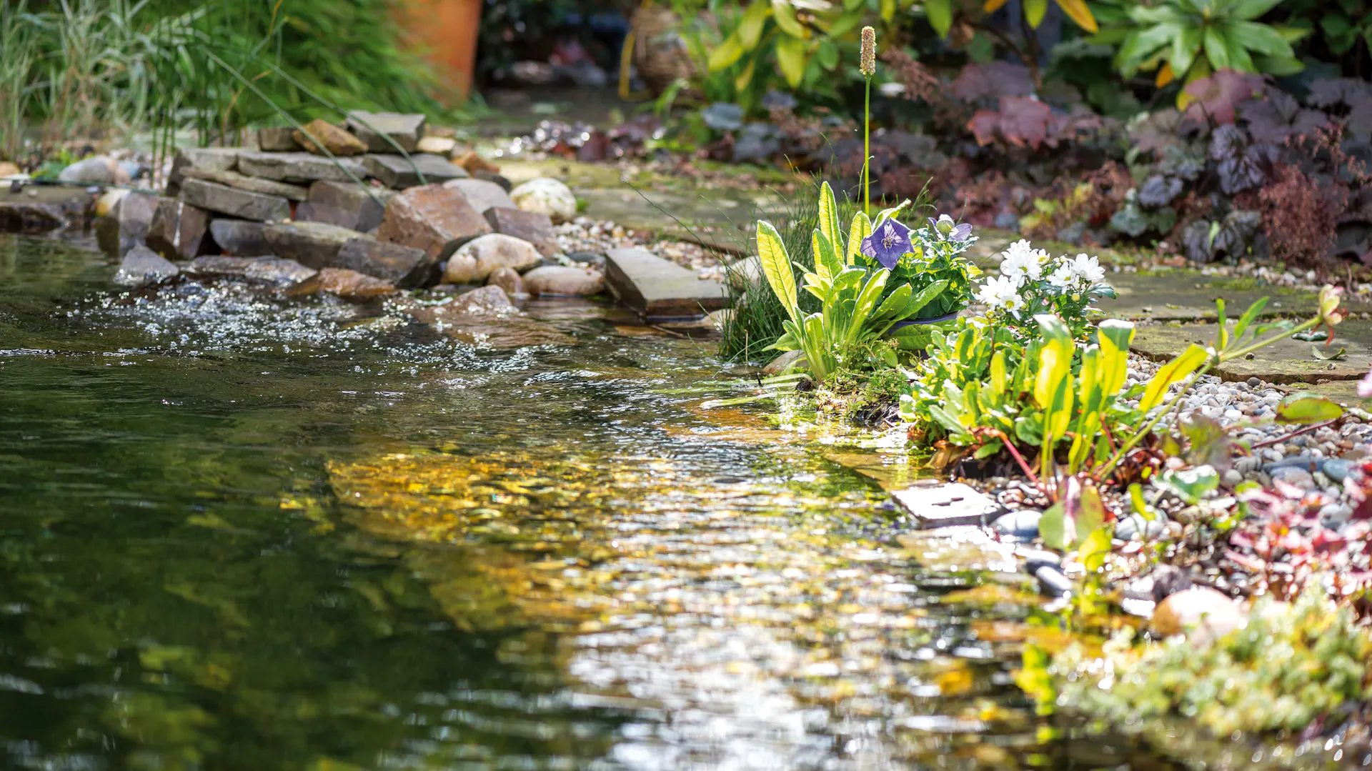 Ein naturnaher Garten mit Wasserstelle