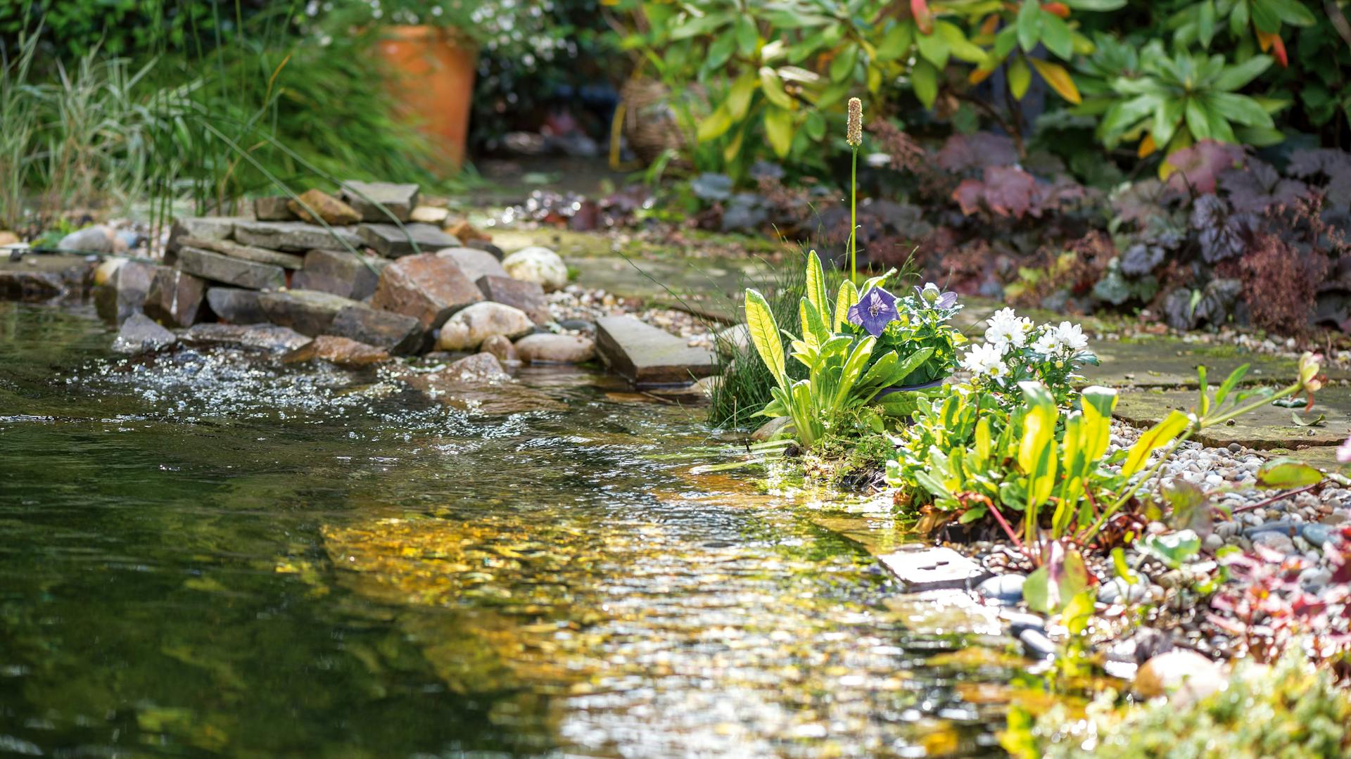 Ein naturnaher Garten mit Wasserstelle