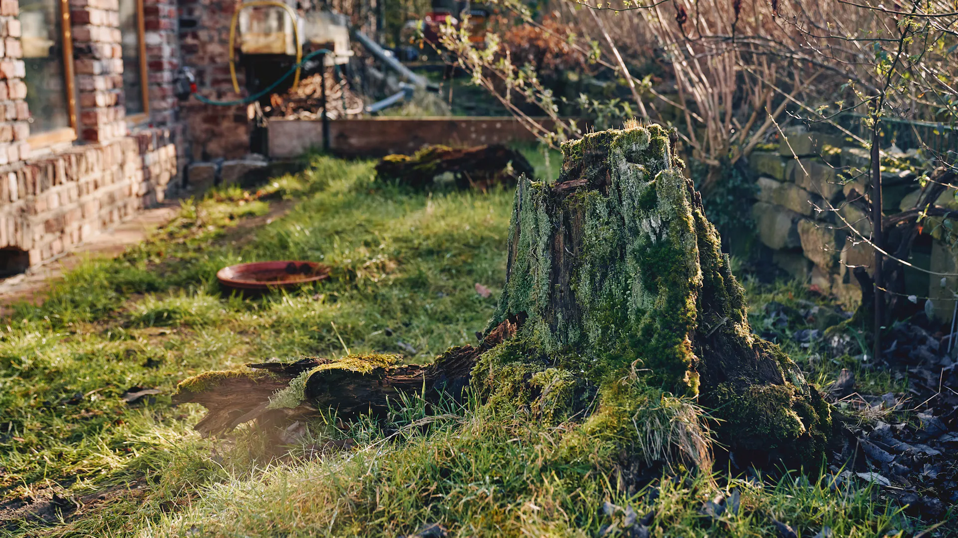 Naturnaher Garten mit mossbewachsenem Baumstumpf und Vogeltränke