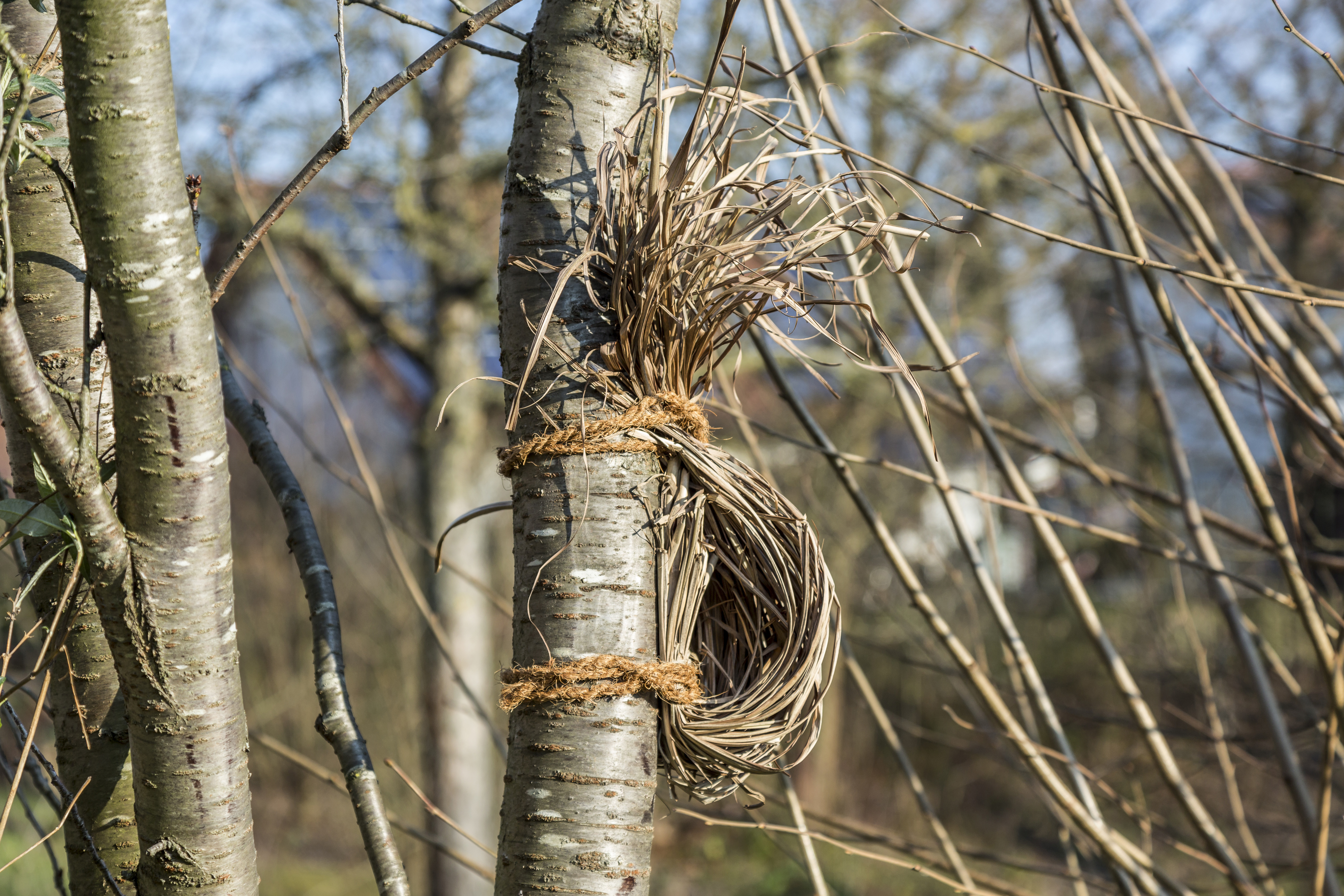 Nisthilfe an einem Baum
