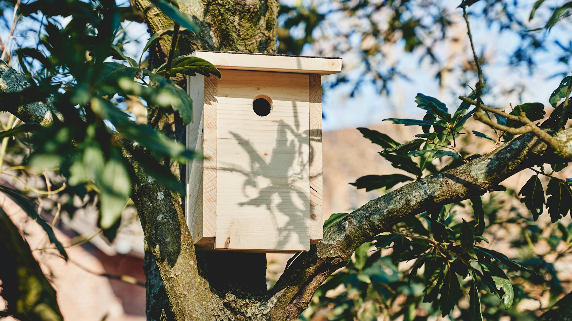 Nistkasten am Baum