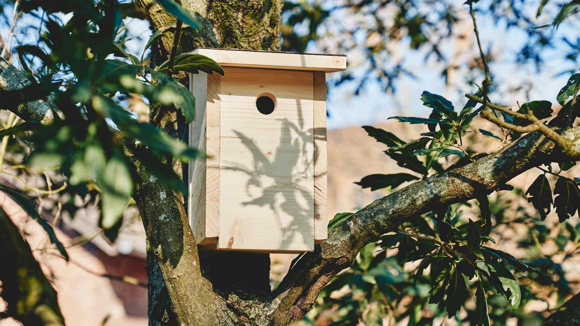Casetta per uccelli in un giardino naturale