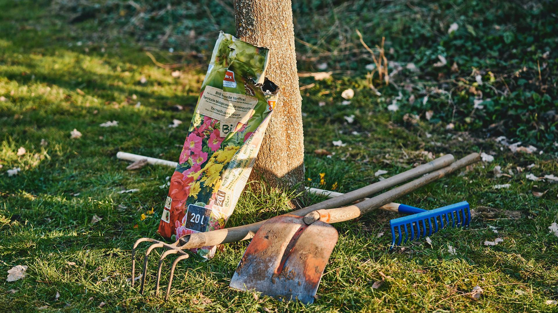 Gartengeräte und Gartenerde liegen neben Baumstamm auf Rasen.