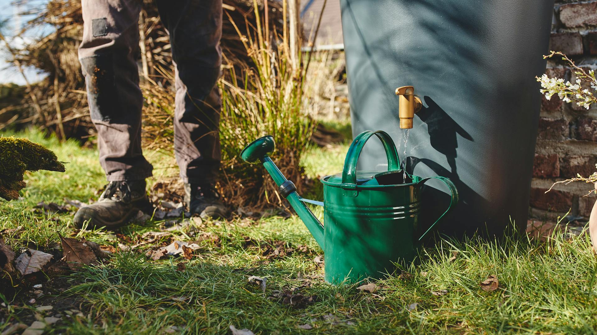 Regentonne in Garten