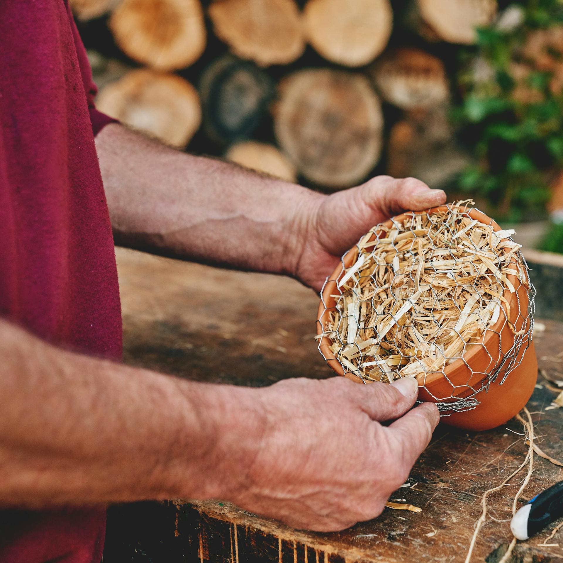 Kaninchendraht wird über einen mit Stroh gefüllten Tontopf gespannt.