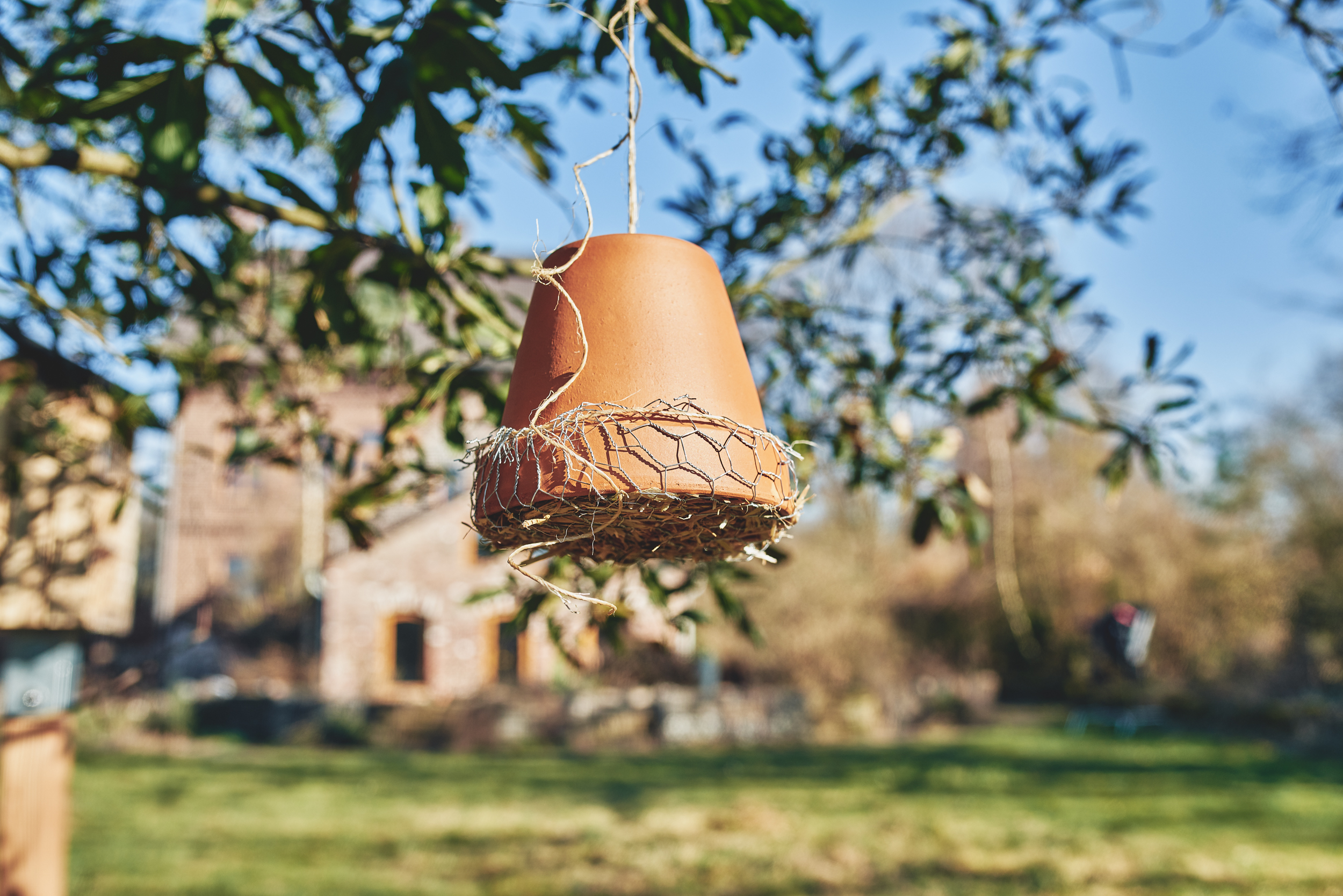 Selbst gebautes Ohrwurmhaus aus einem Tontopf hängt an einem Baum.