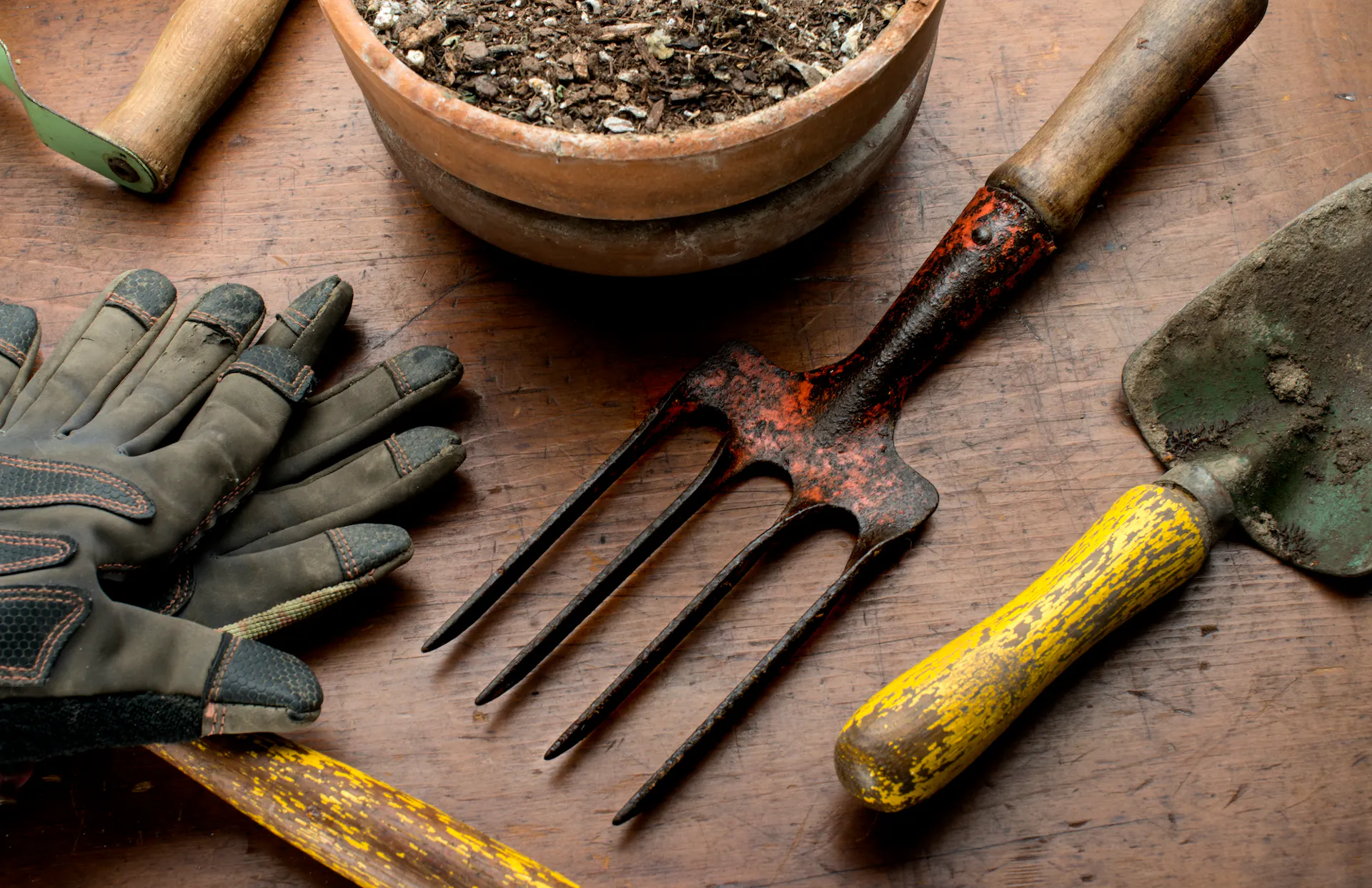 Table à plantes avec outils et gants pour un meilleur rangement dans le jardin