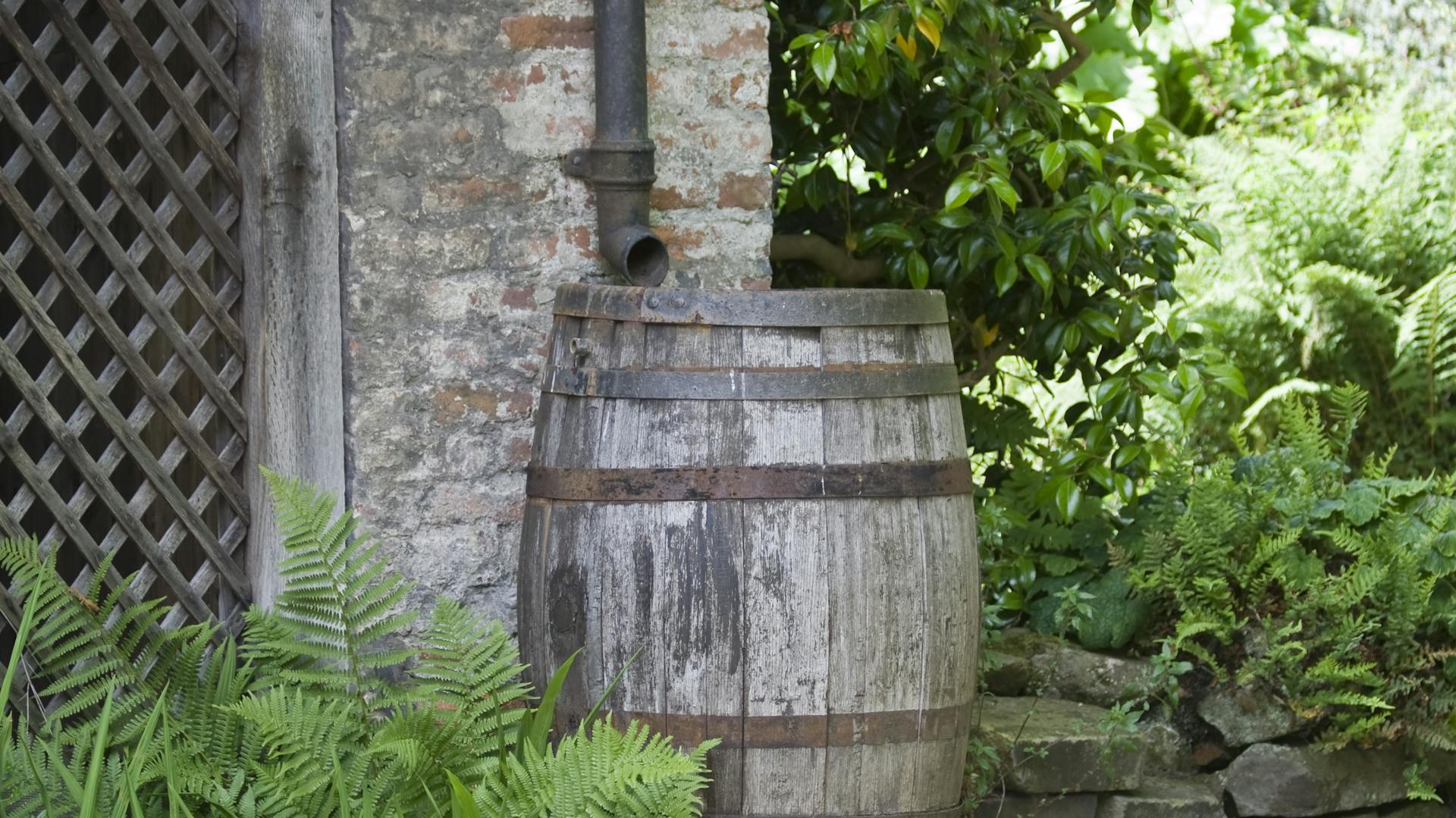 Regentonne aus Holz an Hauswand im Garten