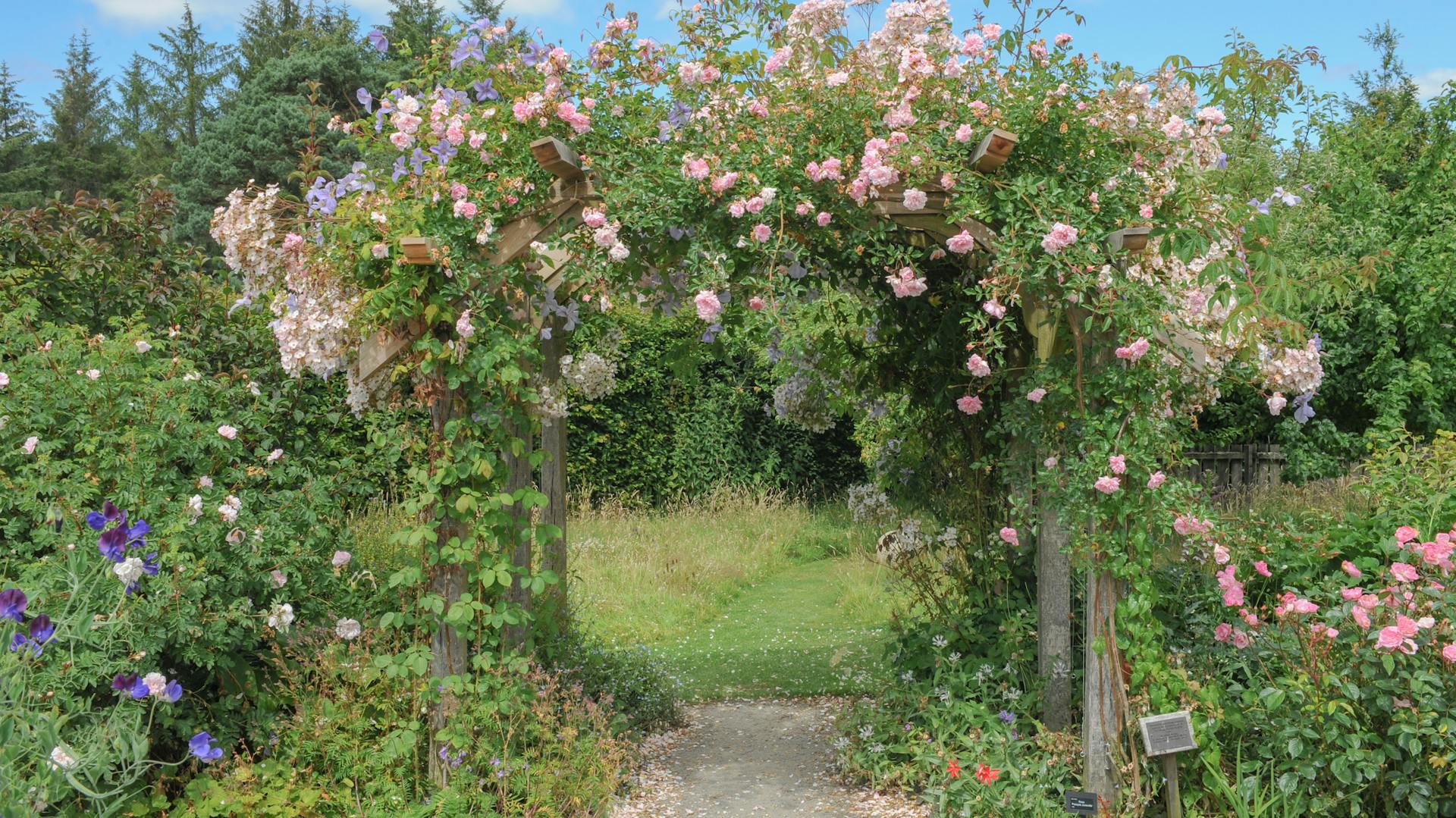 Rosenbogen aufstellen – Ratgeber und Anleitung | OBI