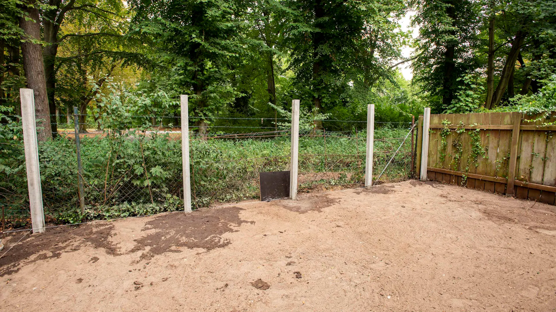 Pfeiler für eine Sichtschutz-Mauer.