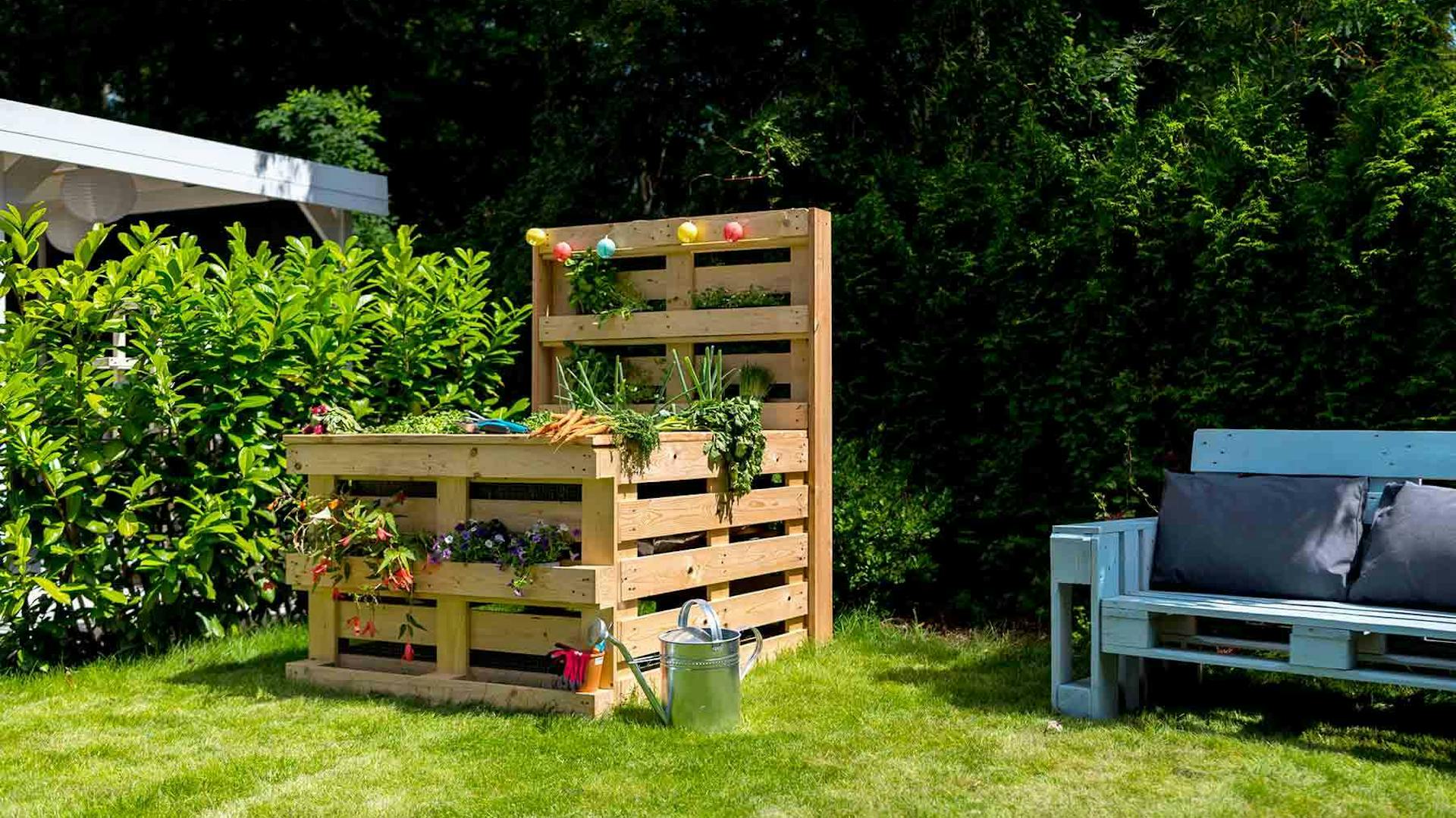 Jardinière surélevée de palettes avec plantes à côté du canapé en palettes dans le jardin