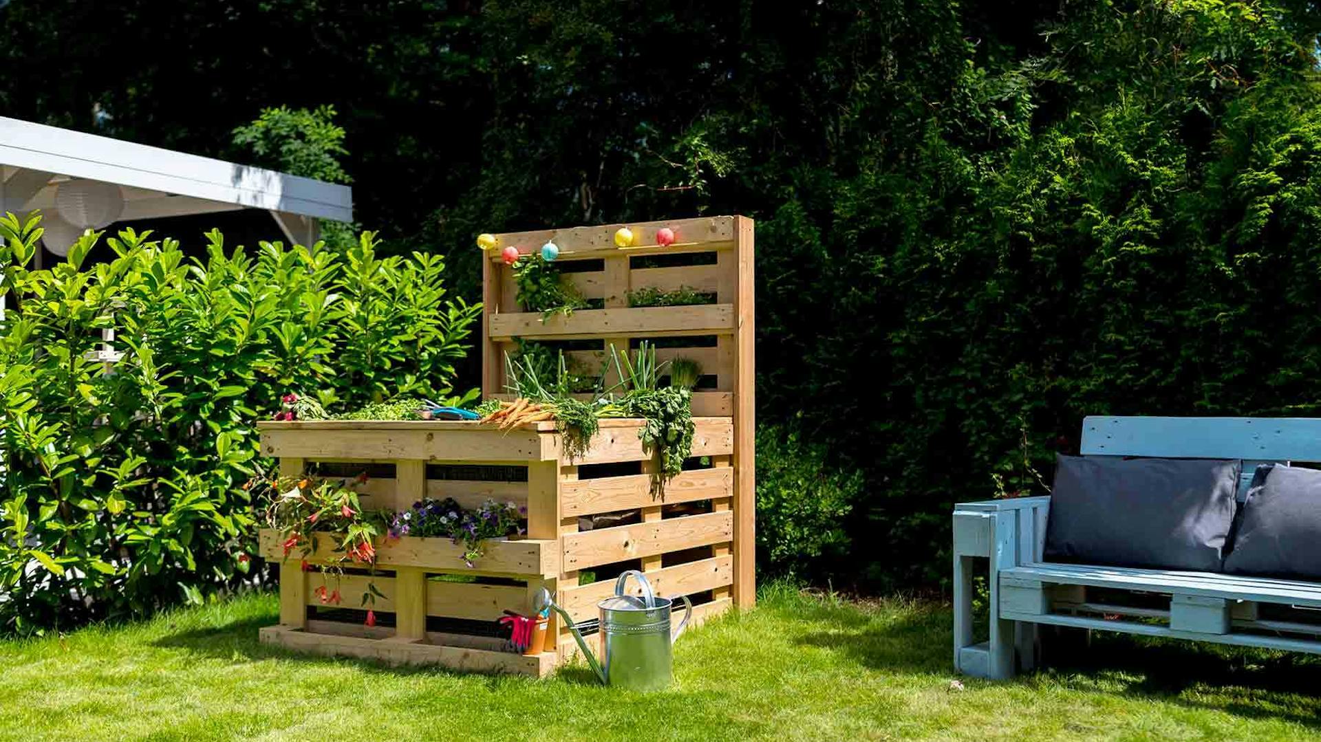 Hochbeet aus Paletten mit Pflanzen neben Palettencouch in Garten