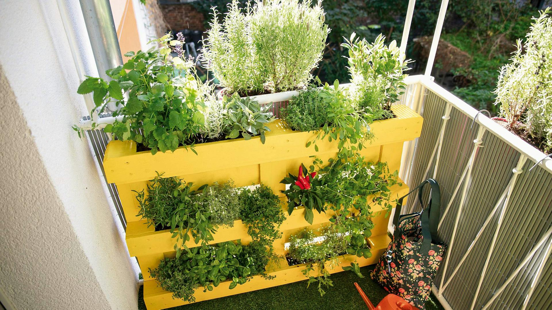 Hochbeet aus einer vertikal aufgestellten Palette mit Kräutern auf dem Balkon
