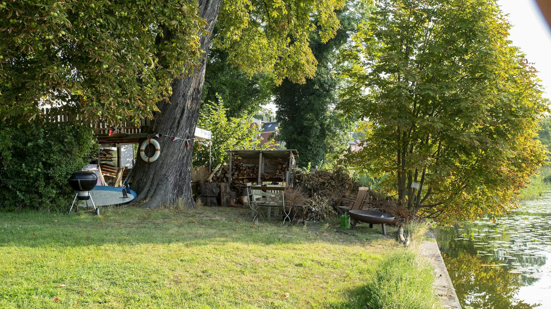 Zahlreiche Bäume am Ufer eines Sees