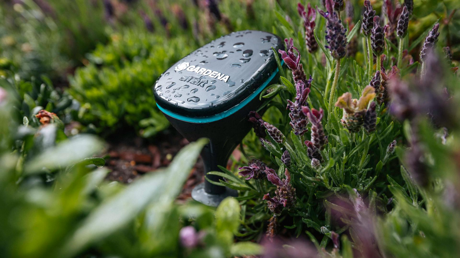 Computer per irrigazione in un’aiuola