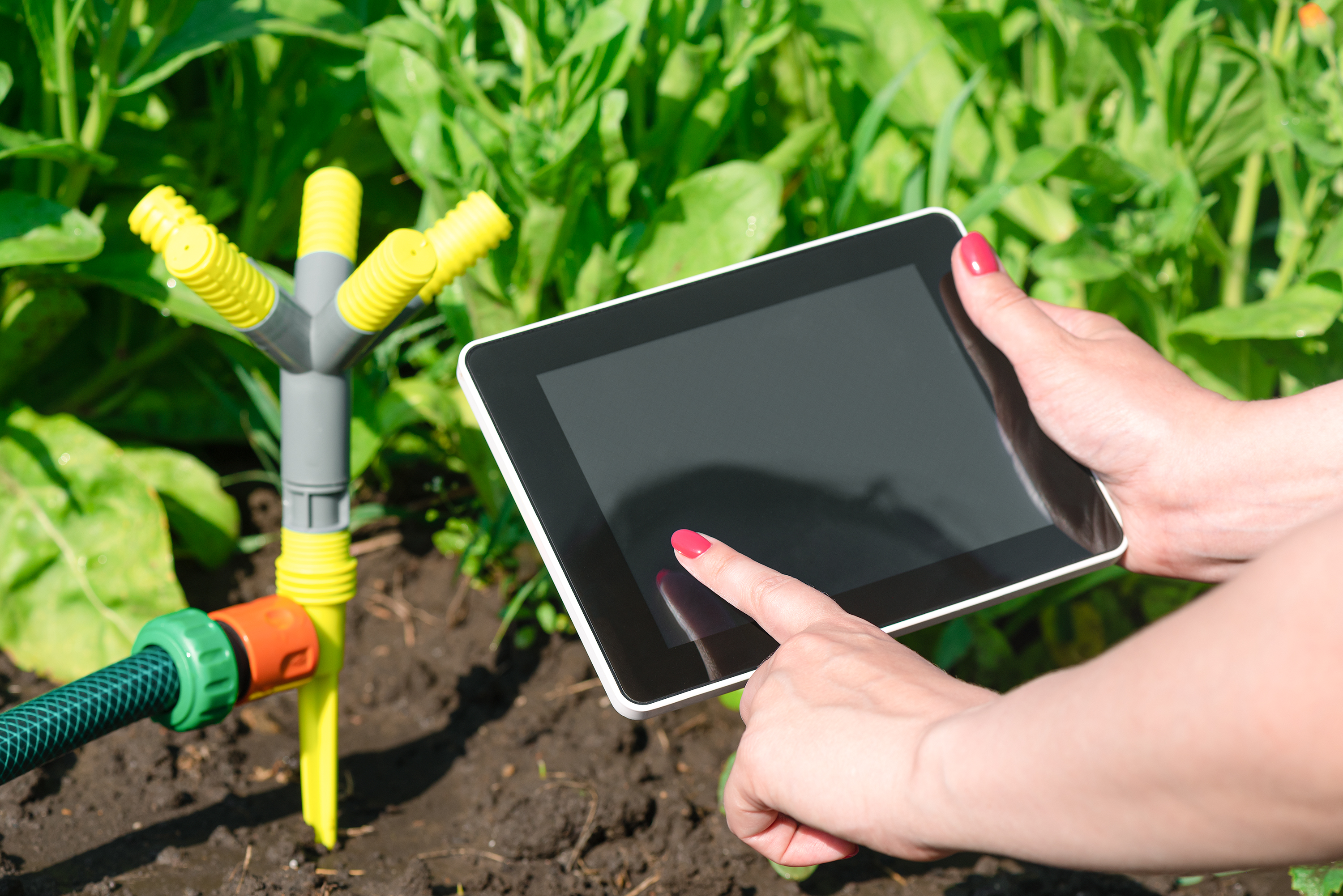 Heimwerker steuert Bewässerung über Tablet.