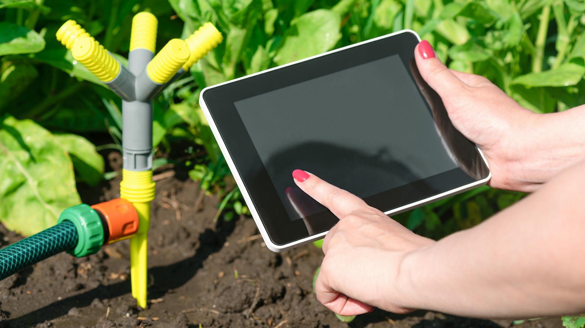 Heimwerker steuert Bewässerung über Tablet.