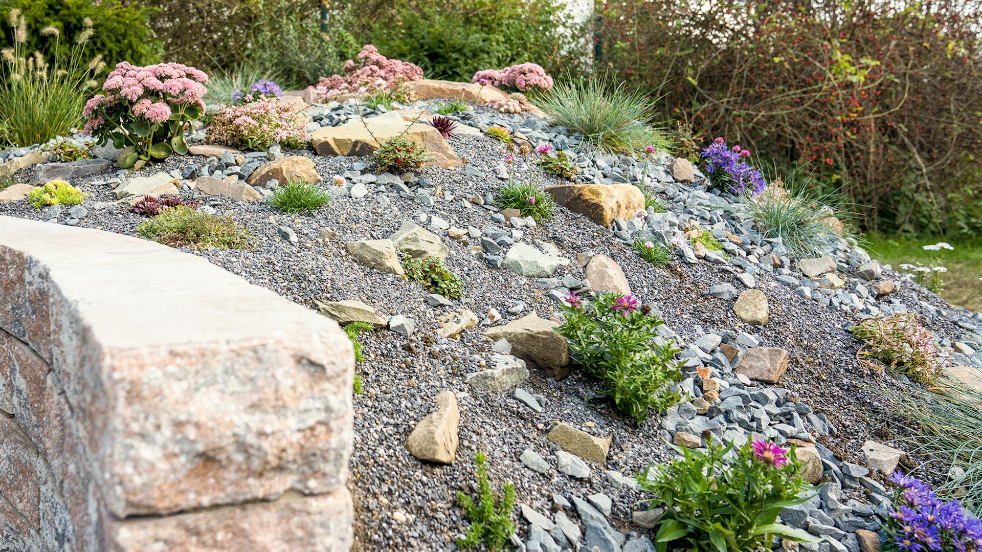 Steingarten mit Bodendeckern und unterschiedlich großen Steinen.
