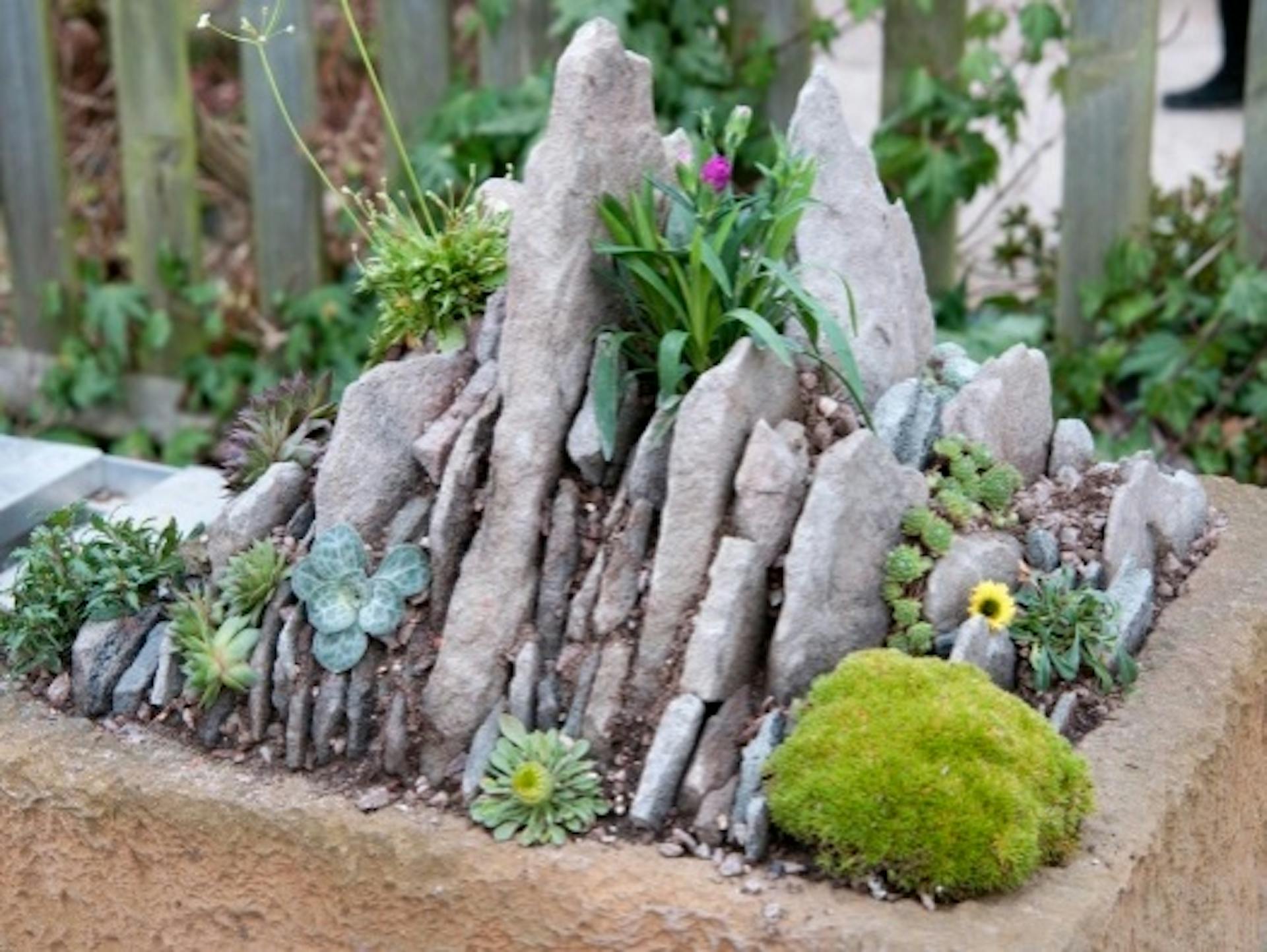 Skalka s kameňmi a rastlinami v koryte.