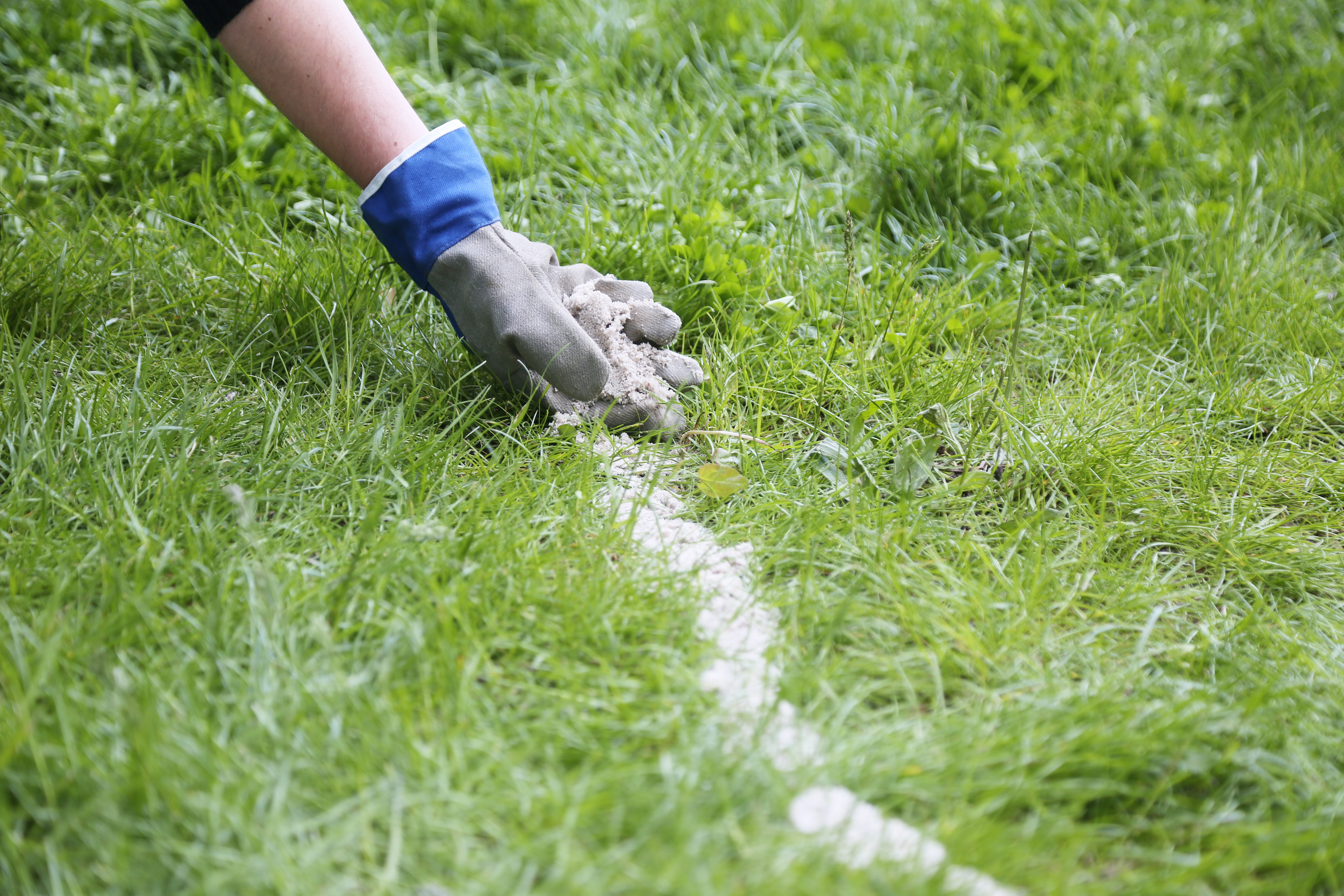 Strand im Garten So baust du einen Strandkasten OBI