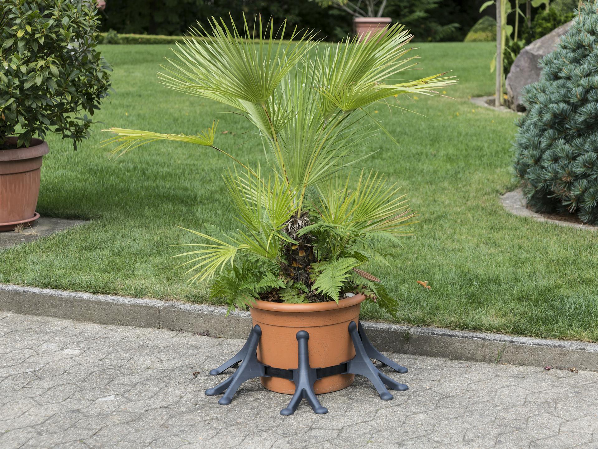 Topfstützen helfen bei der Sturmsicherung der Pflanzkübel im Garten.