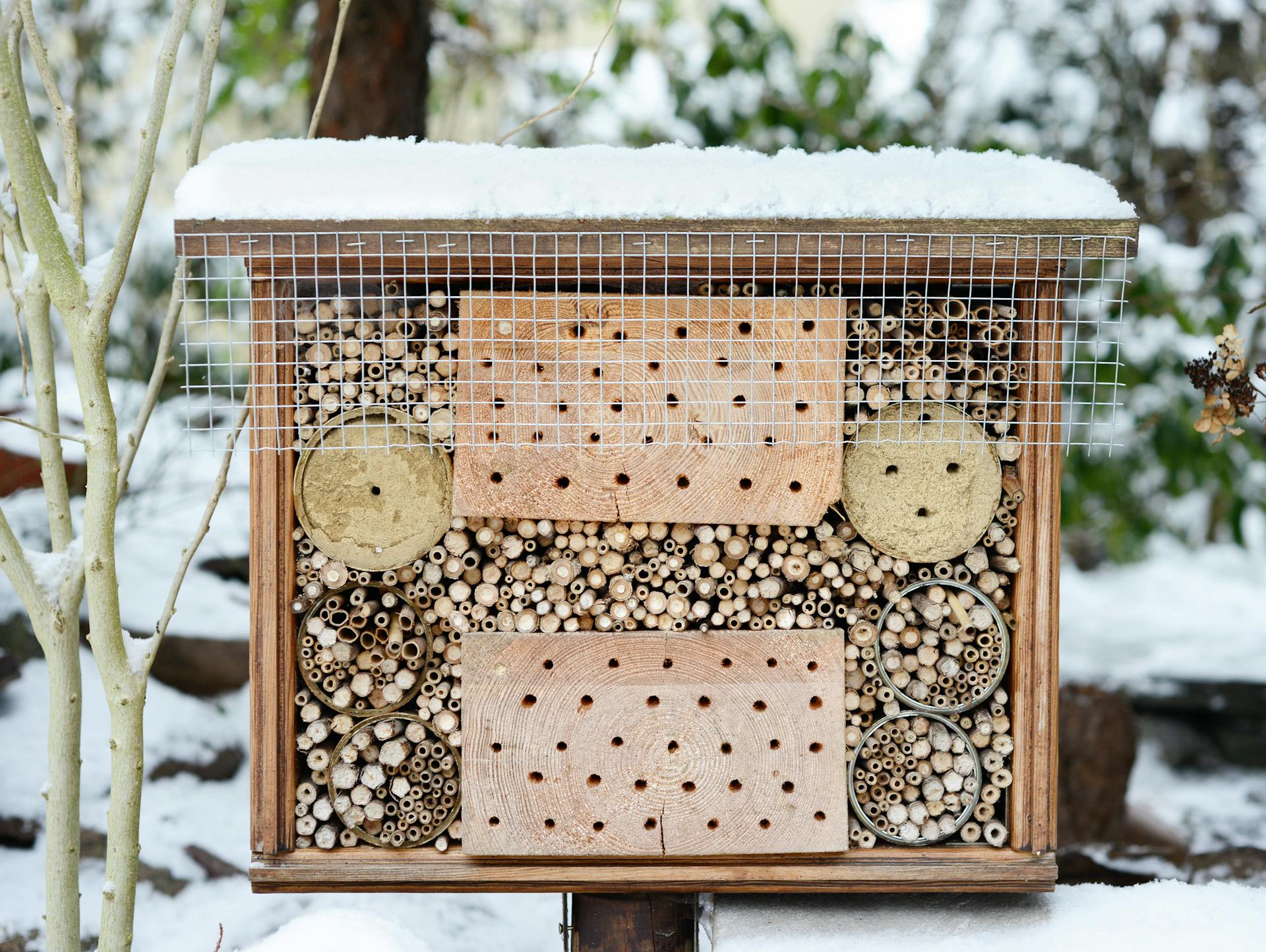 Hotel per insetti realizzato con svariati materiali in inverno