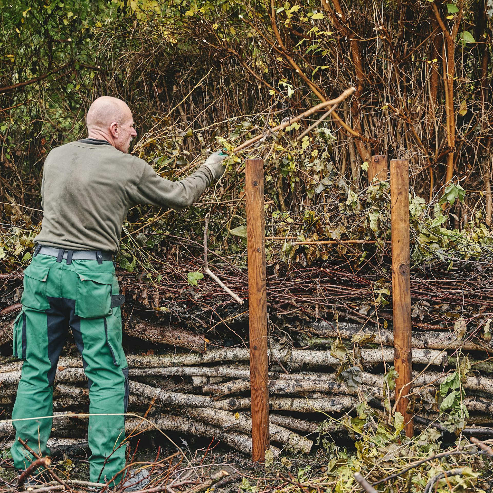 Mann gefüllt Totholzhecke mit Ästen