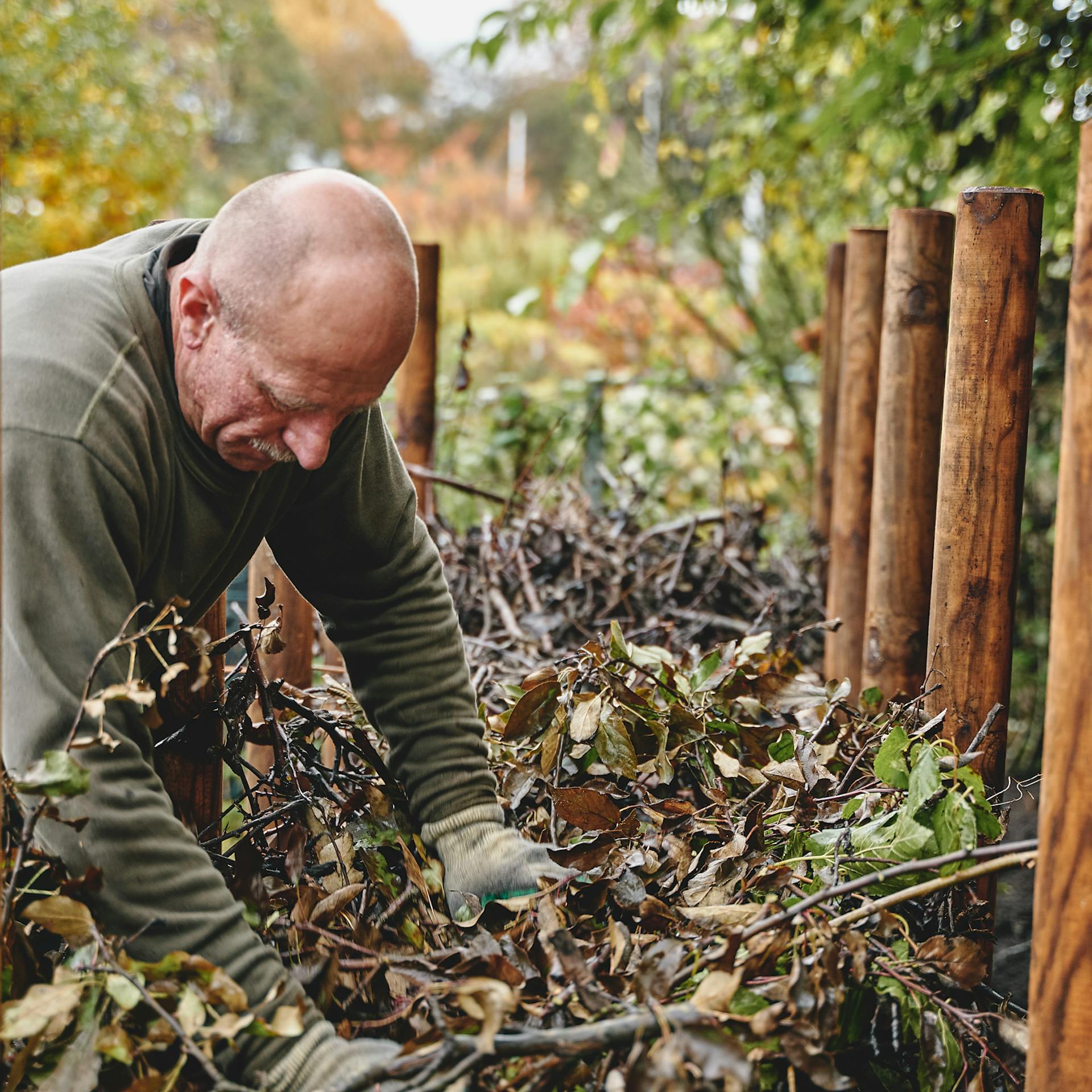 Mann legt Laub auf Totholzhecke