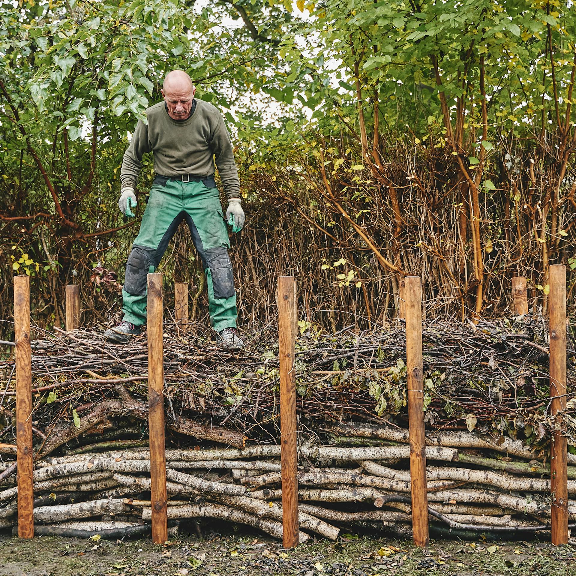 Mann verdichtet Totholzhecke