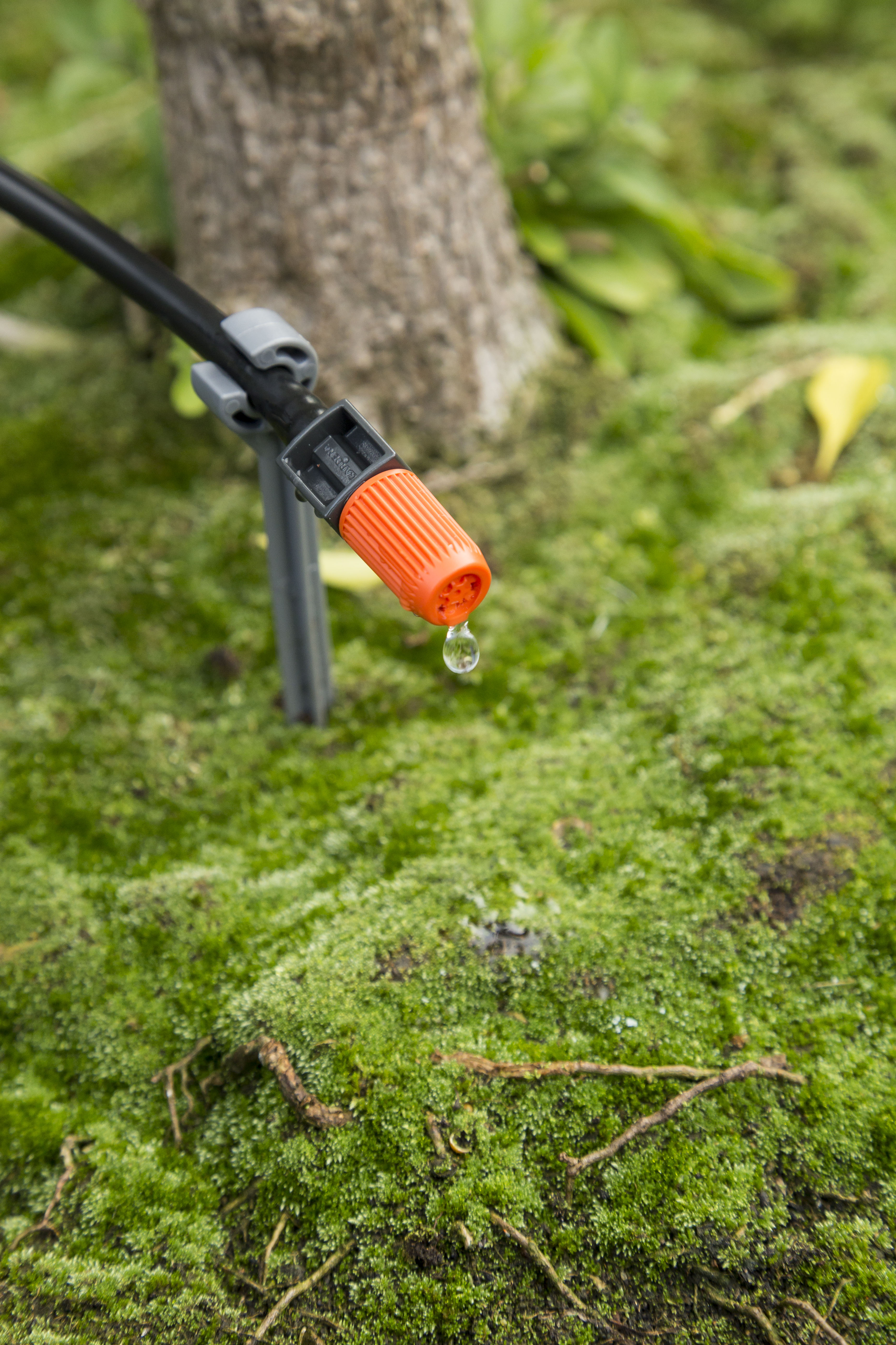 Il gocciolatore di un sistema di irrigazione a goccia rilascia acqua.